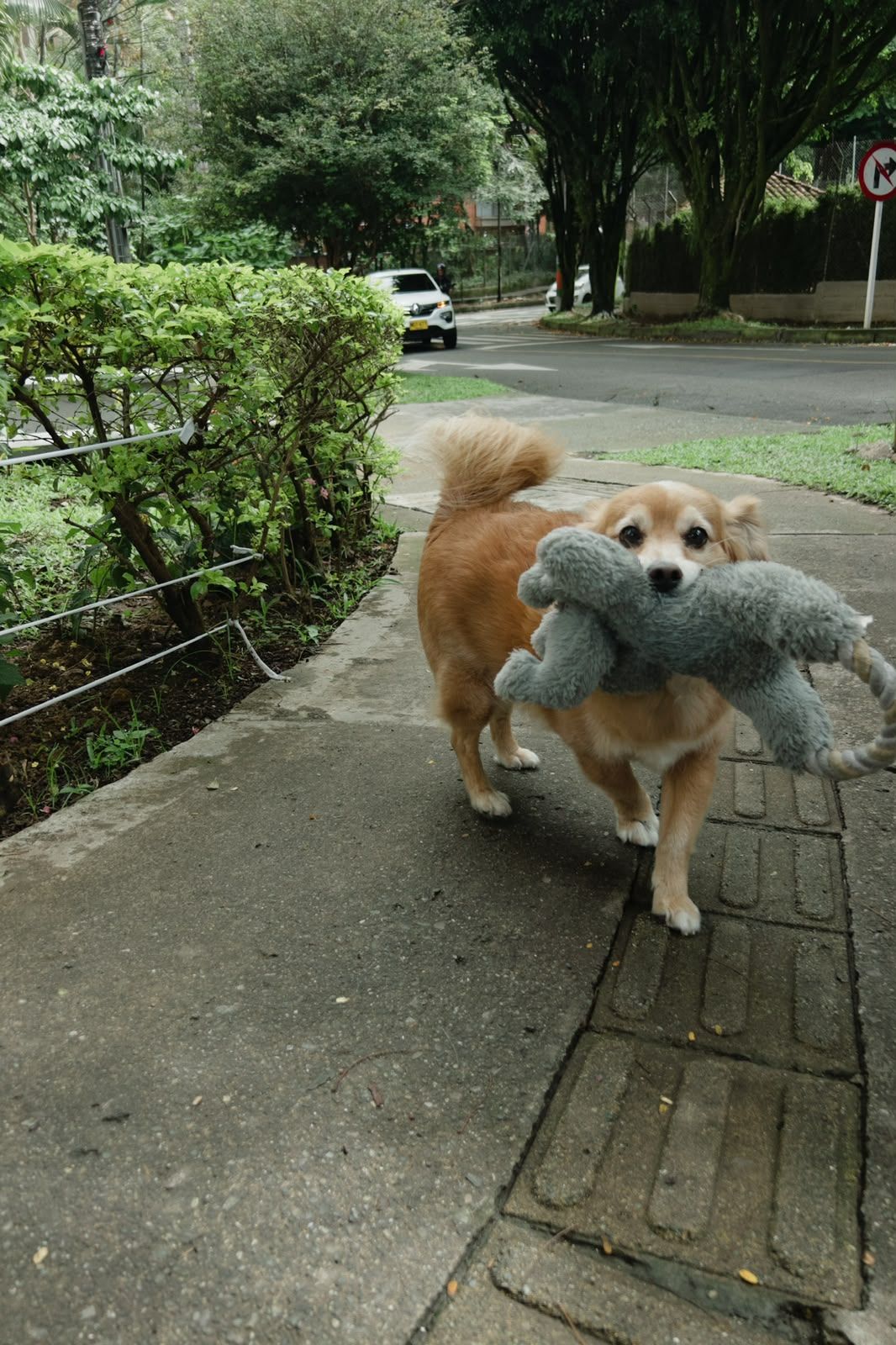 image-17