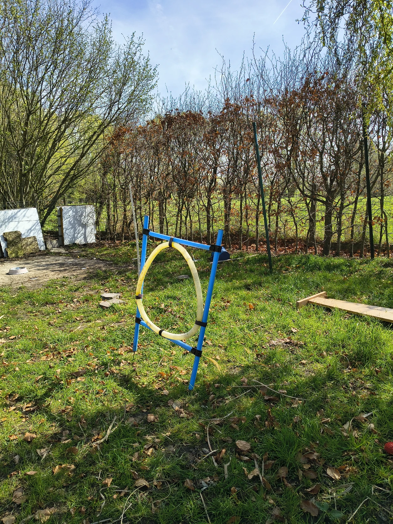 image-2