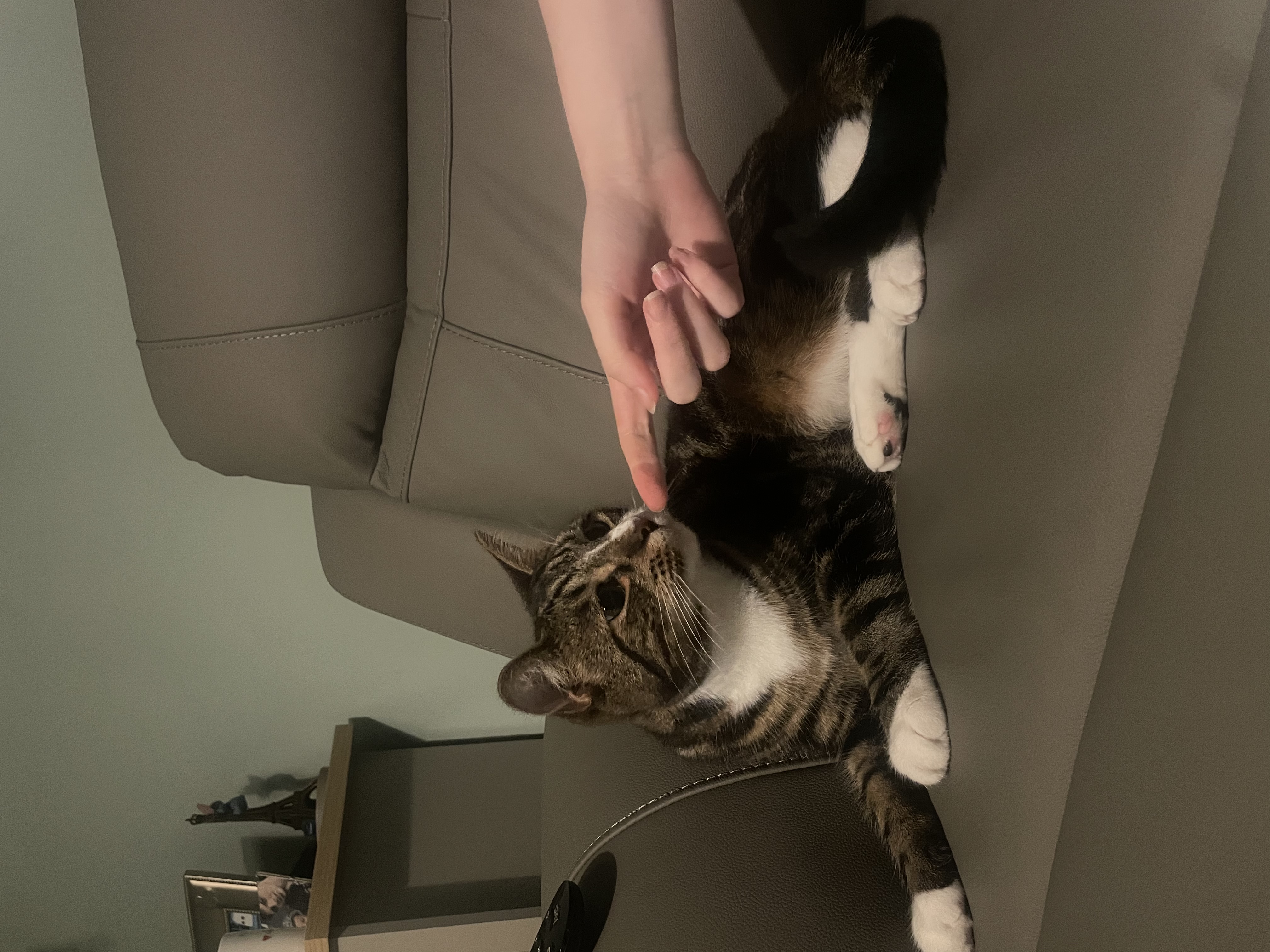 image-8