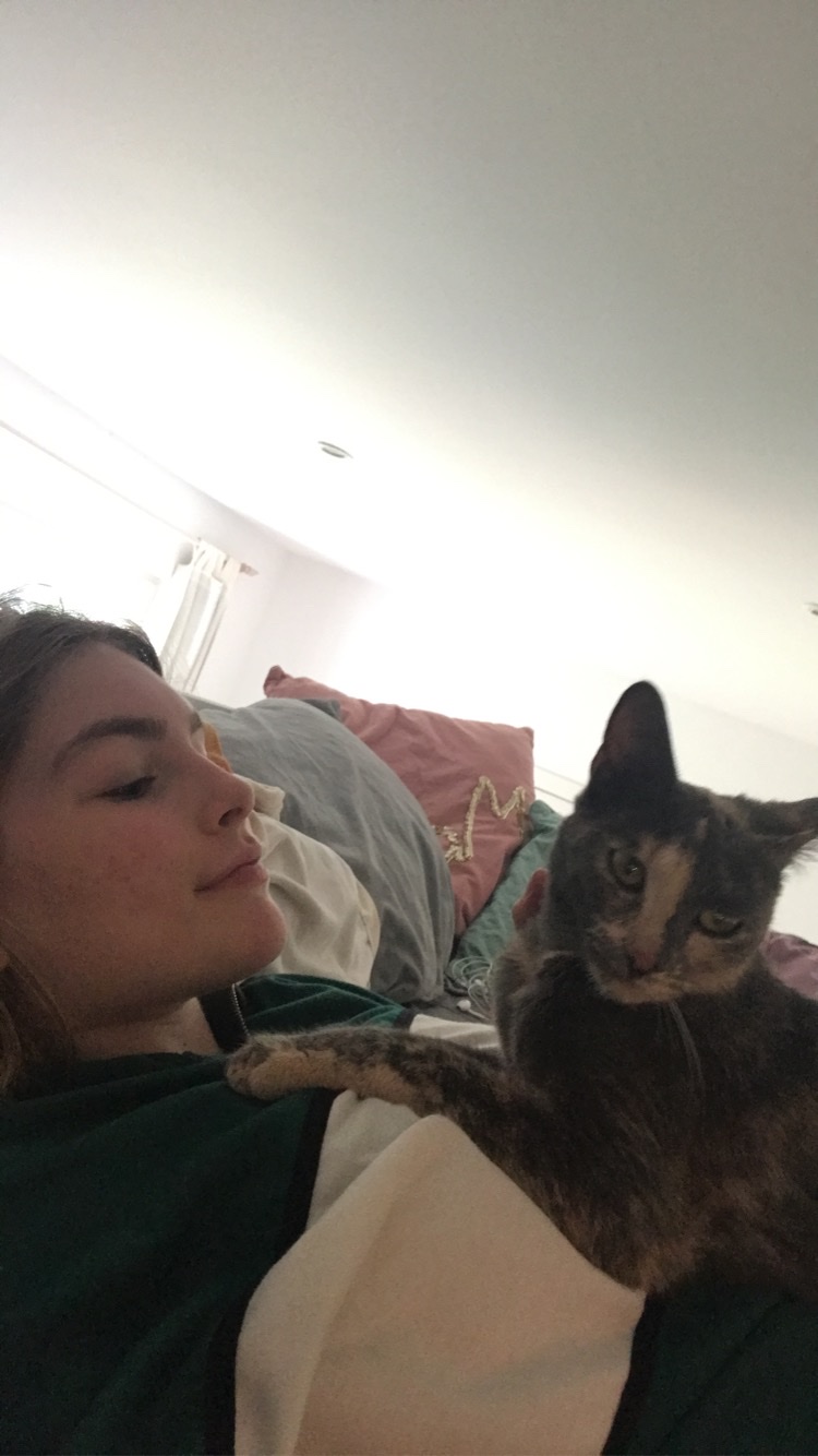 image-16