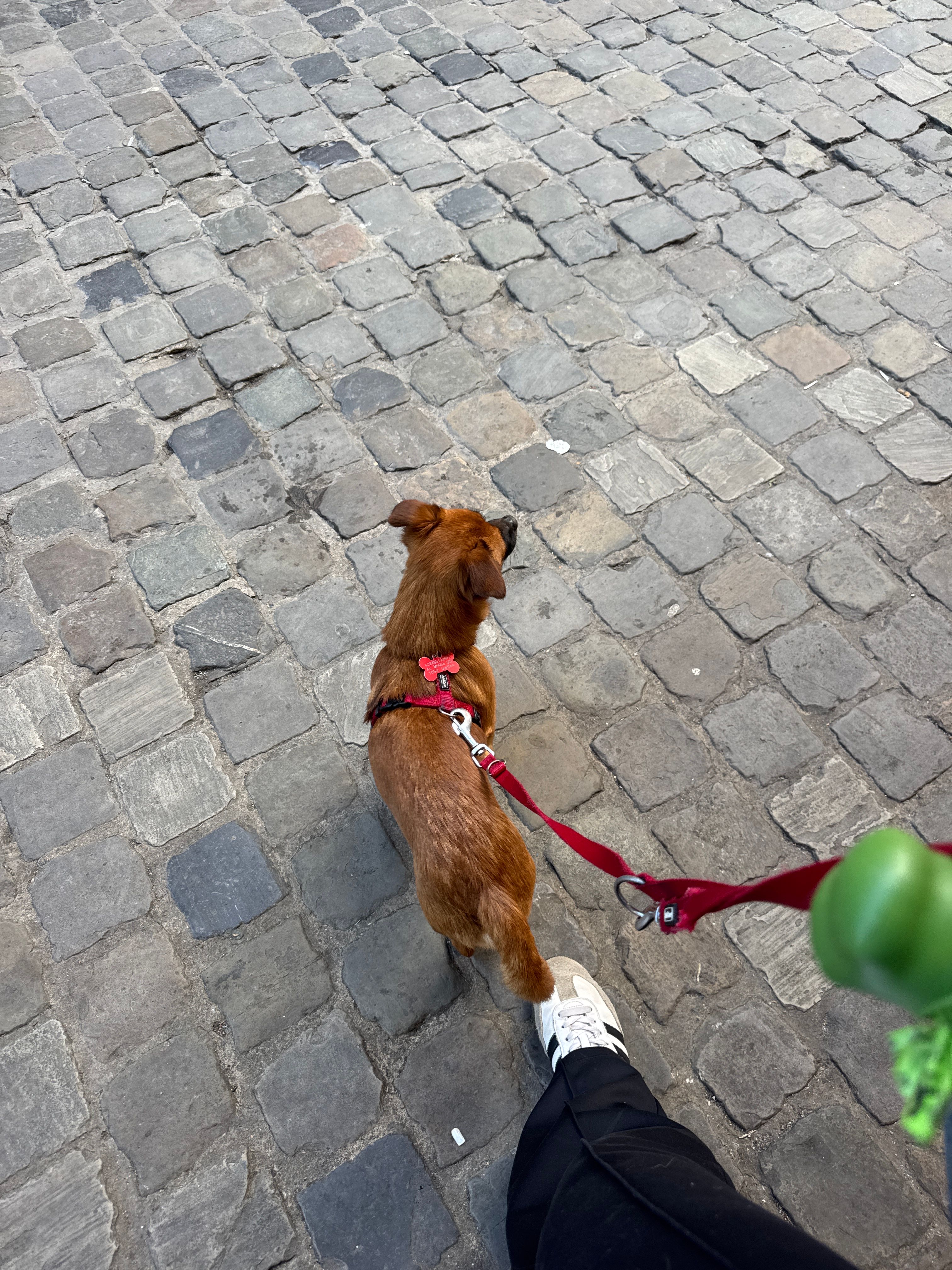 image-3