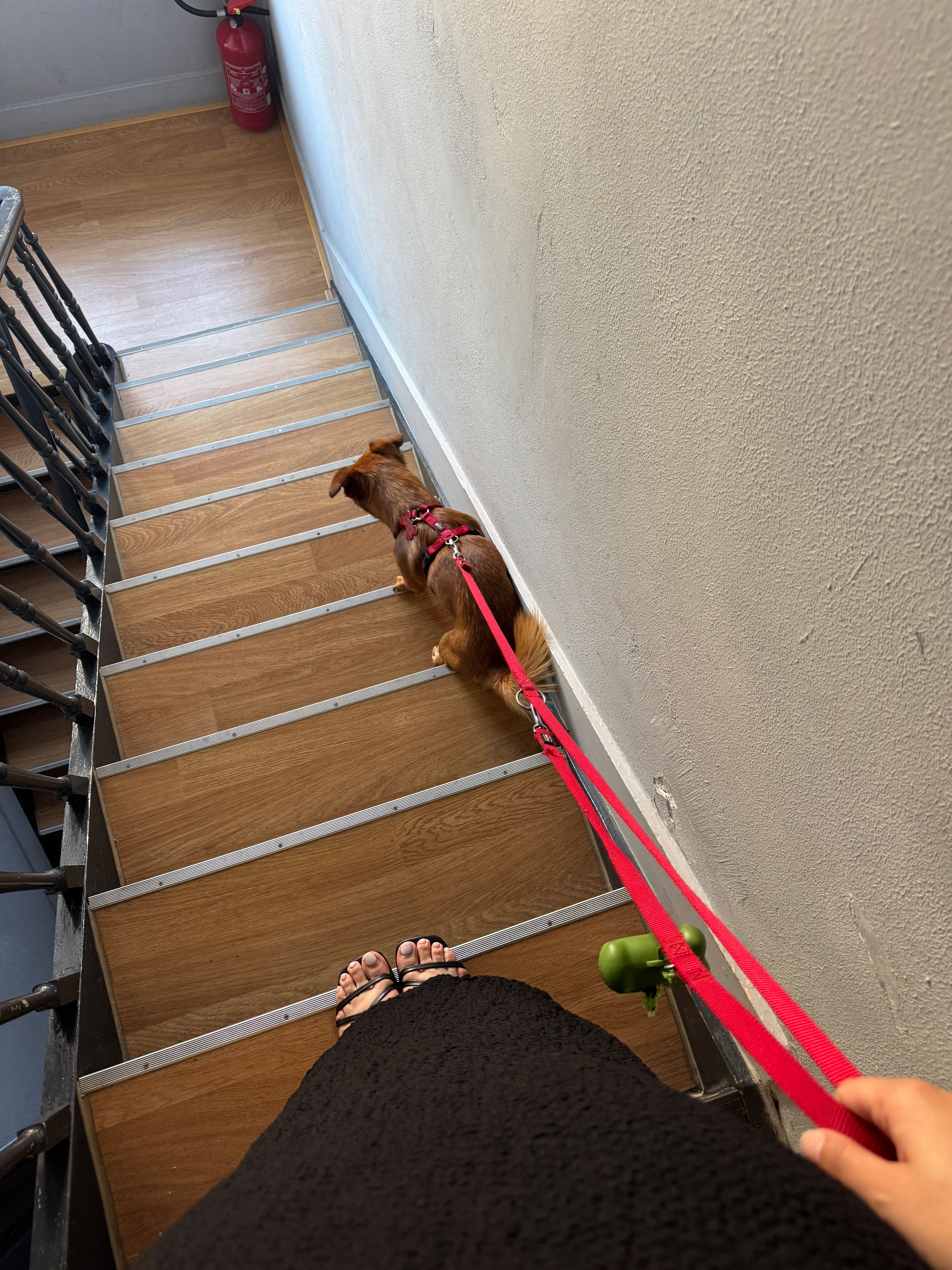 image-9