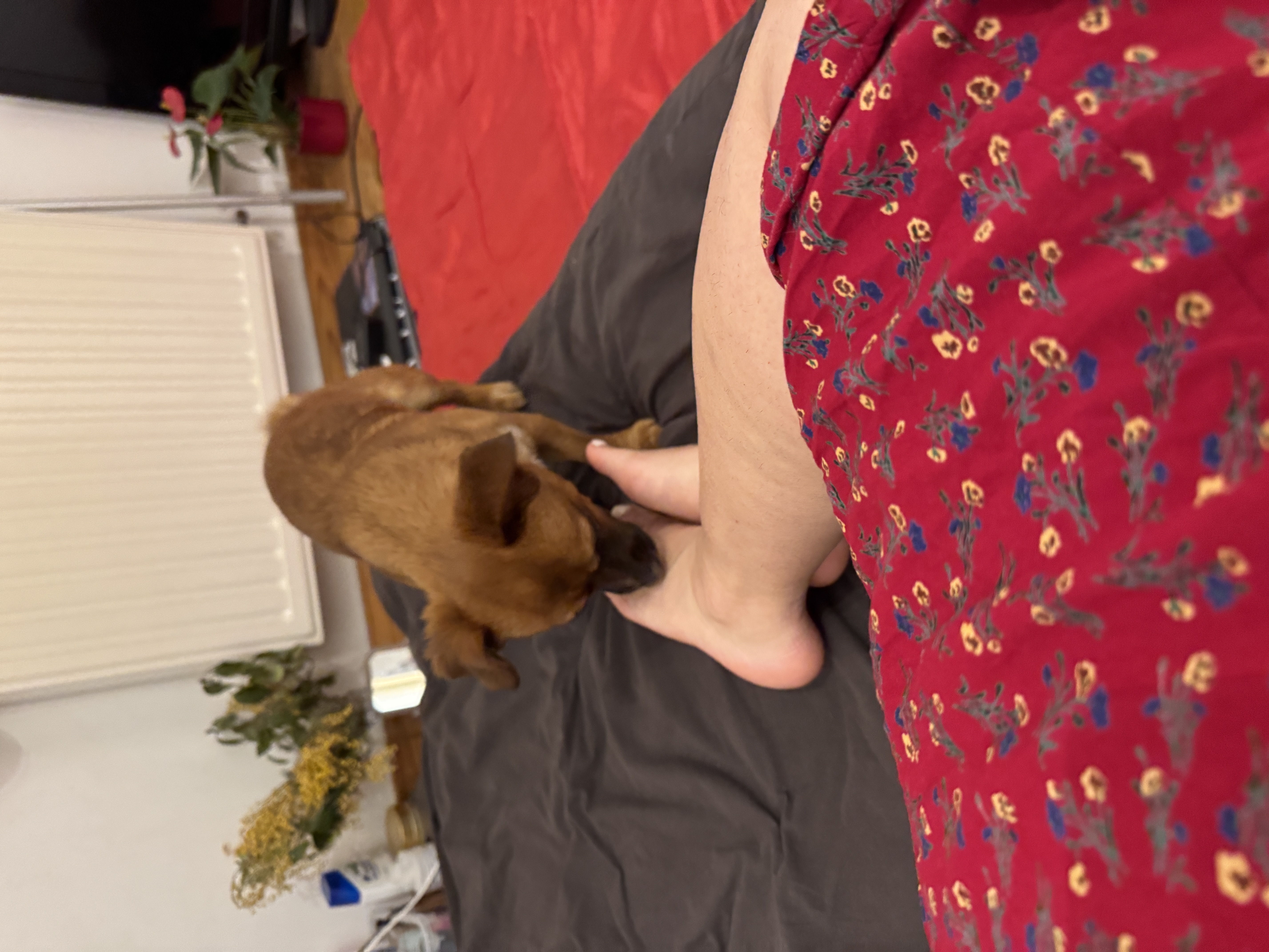 image-6