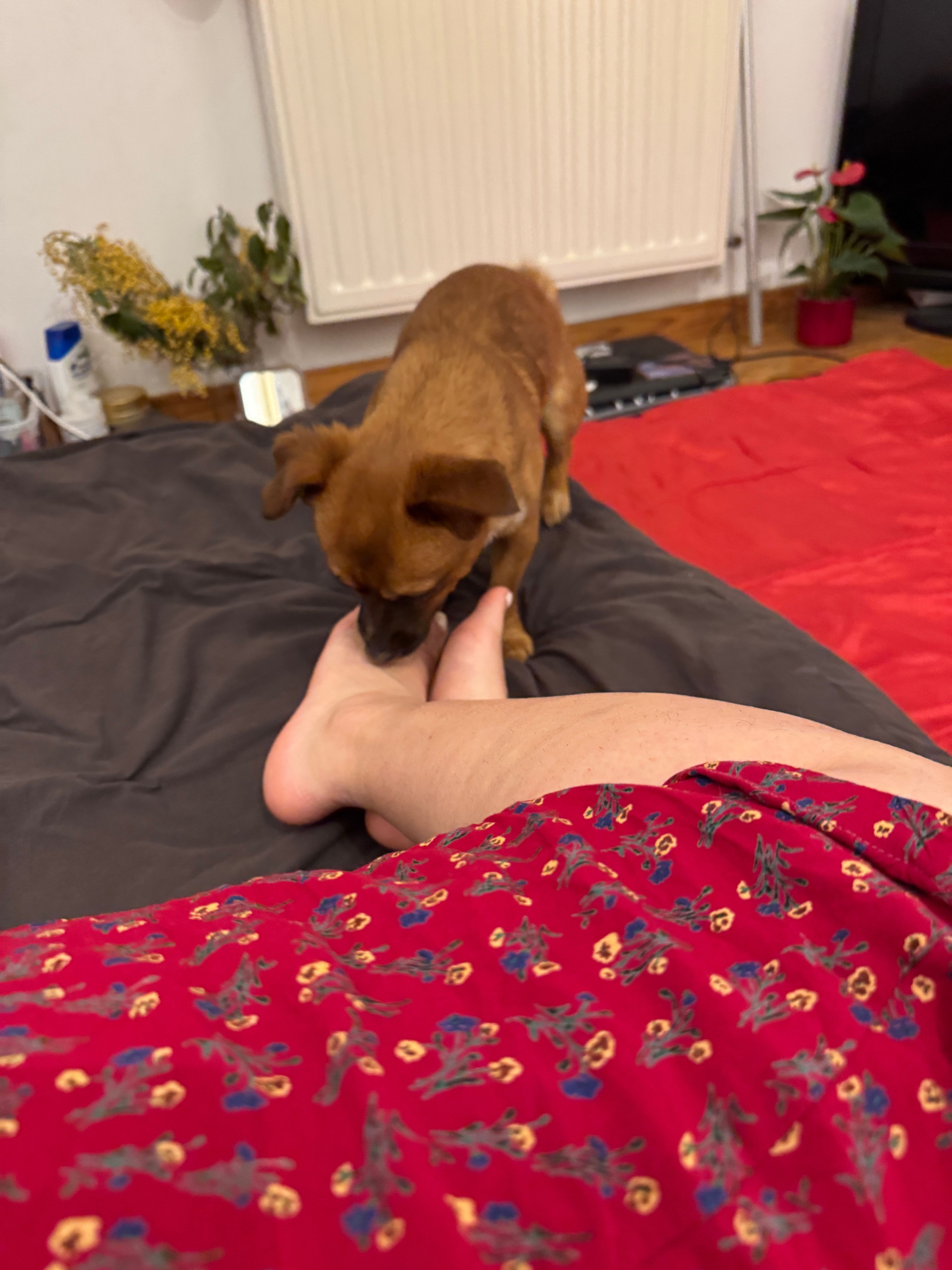image-6