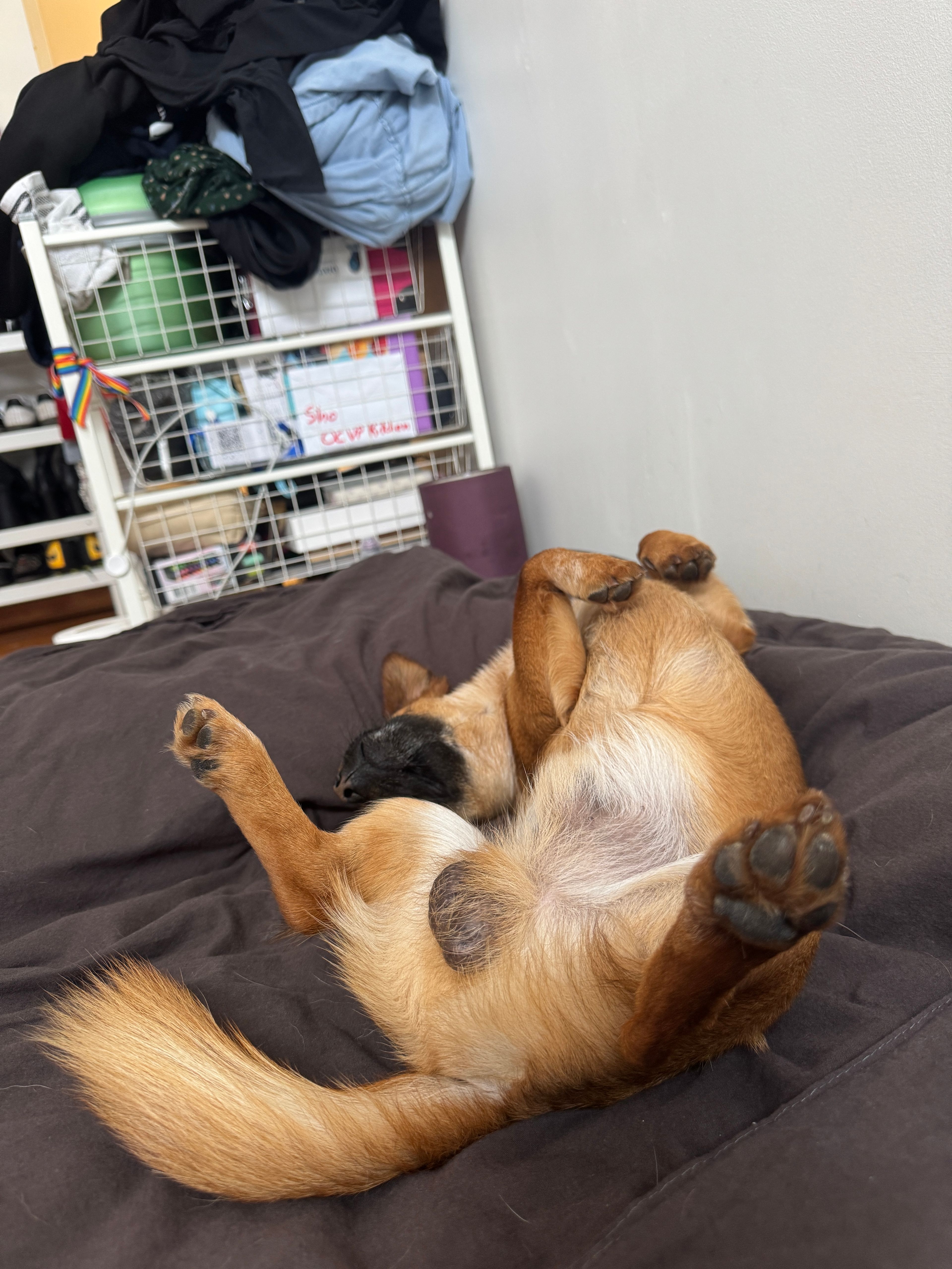 image-4