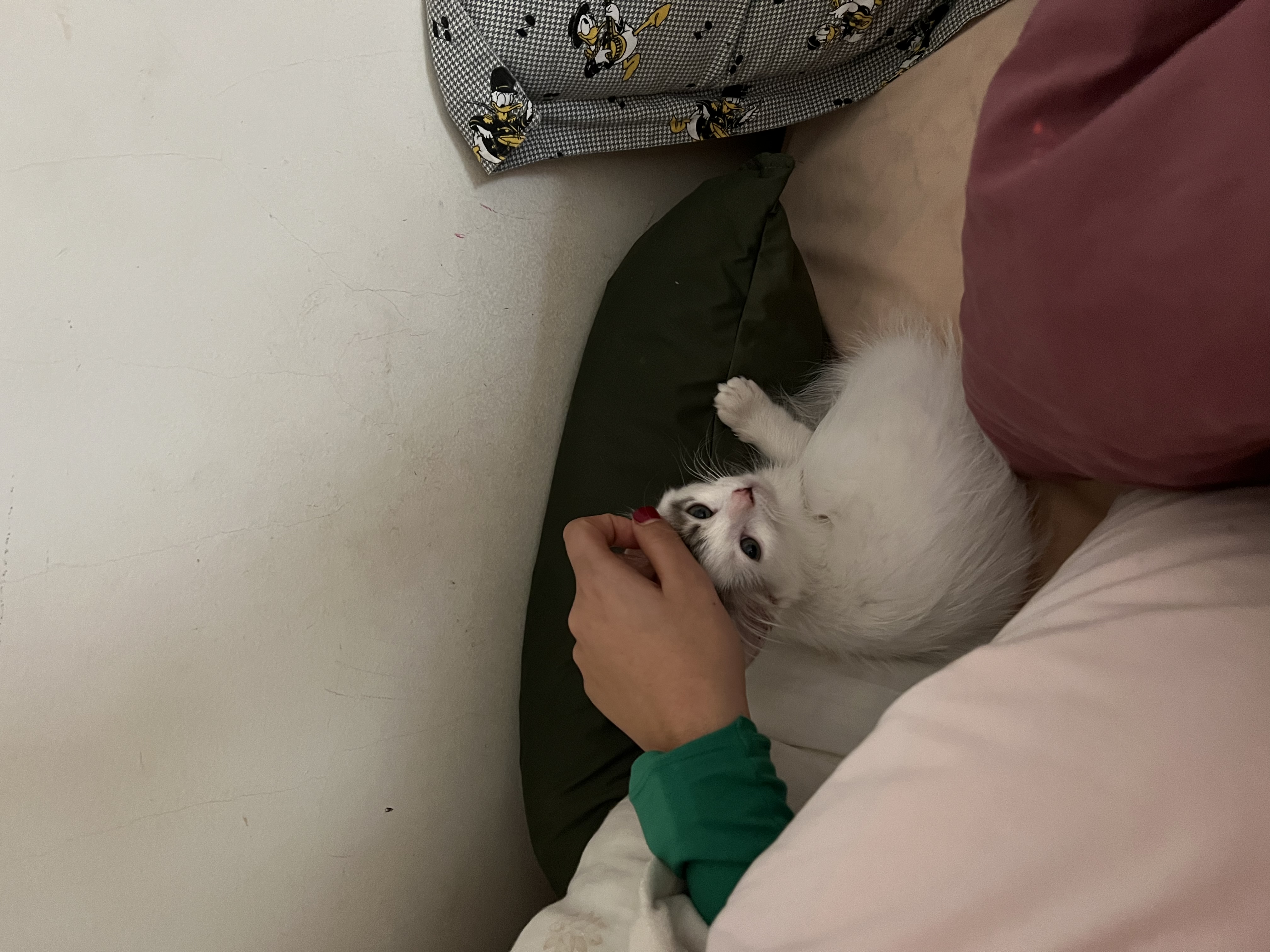 image-16