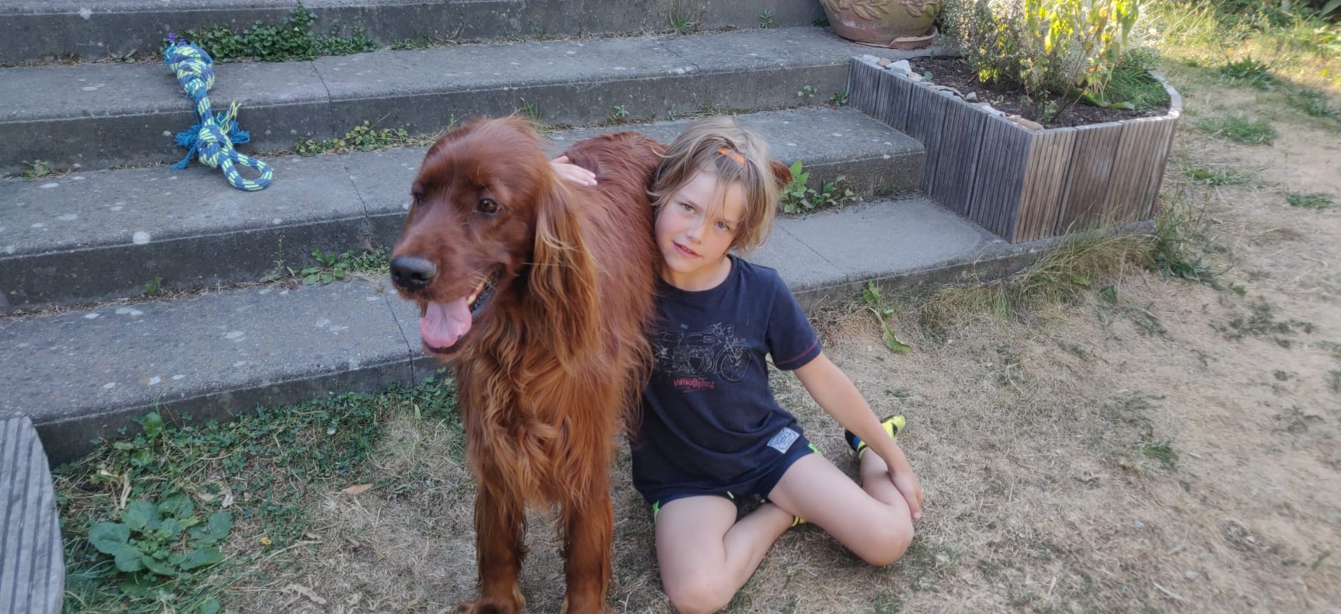 image-5