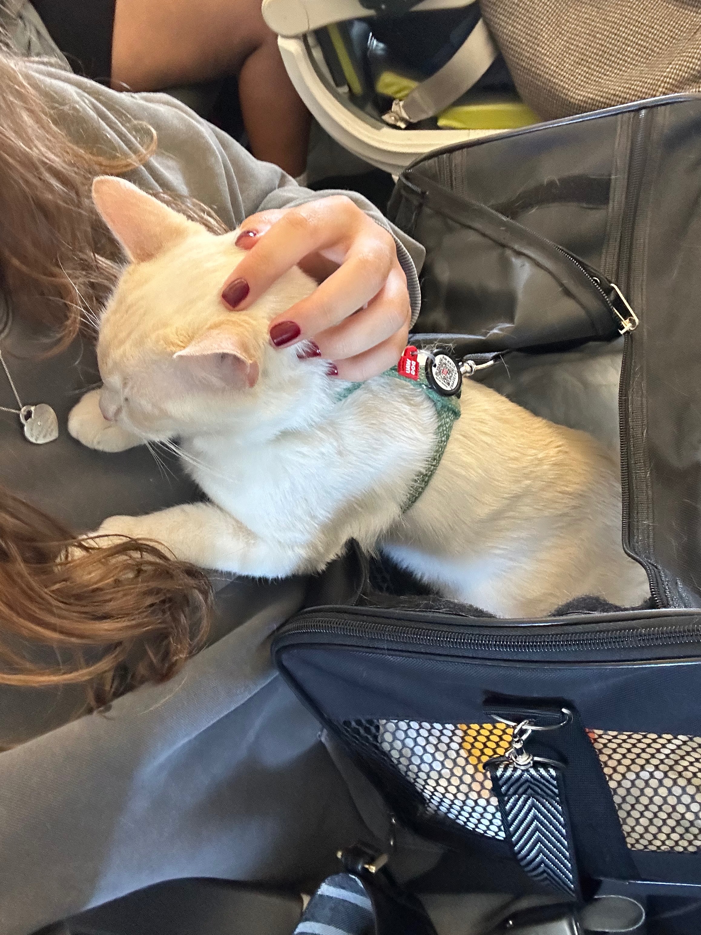 image-2