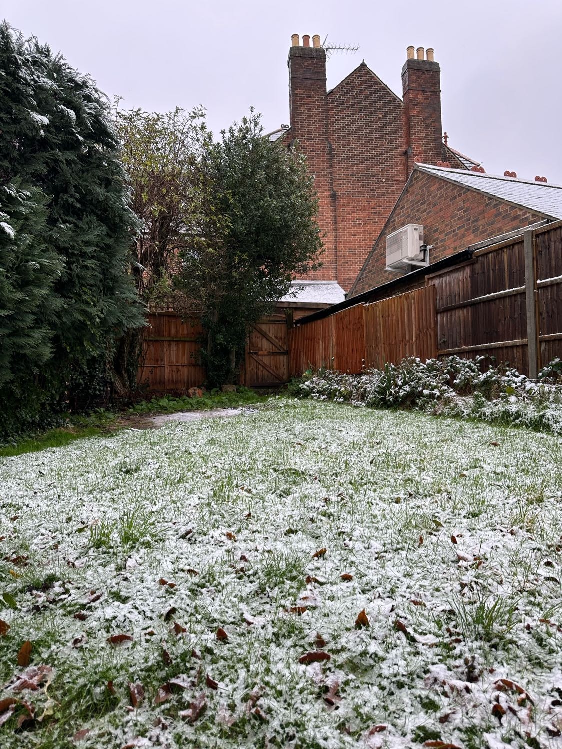 image-6