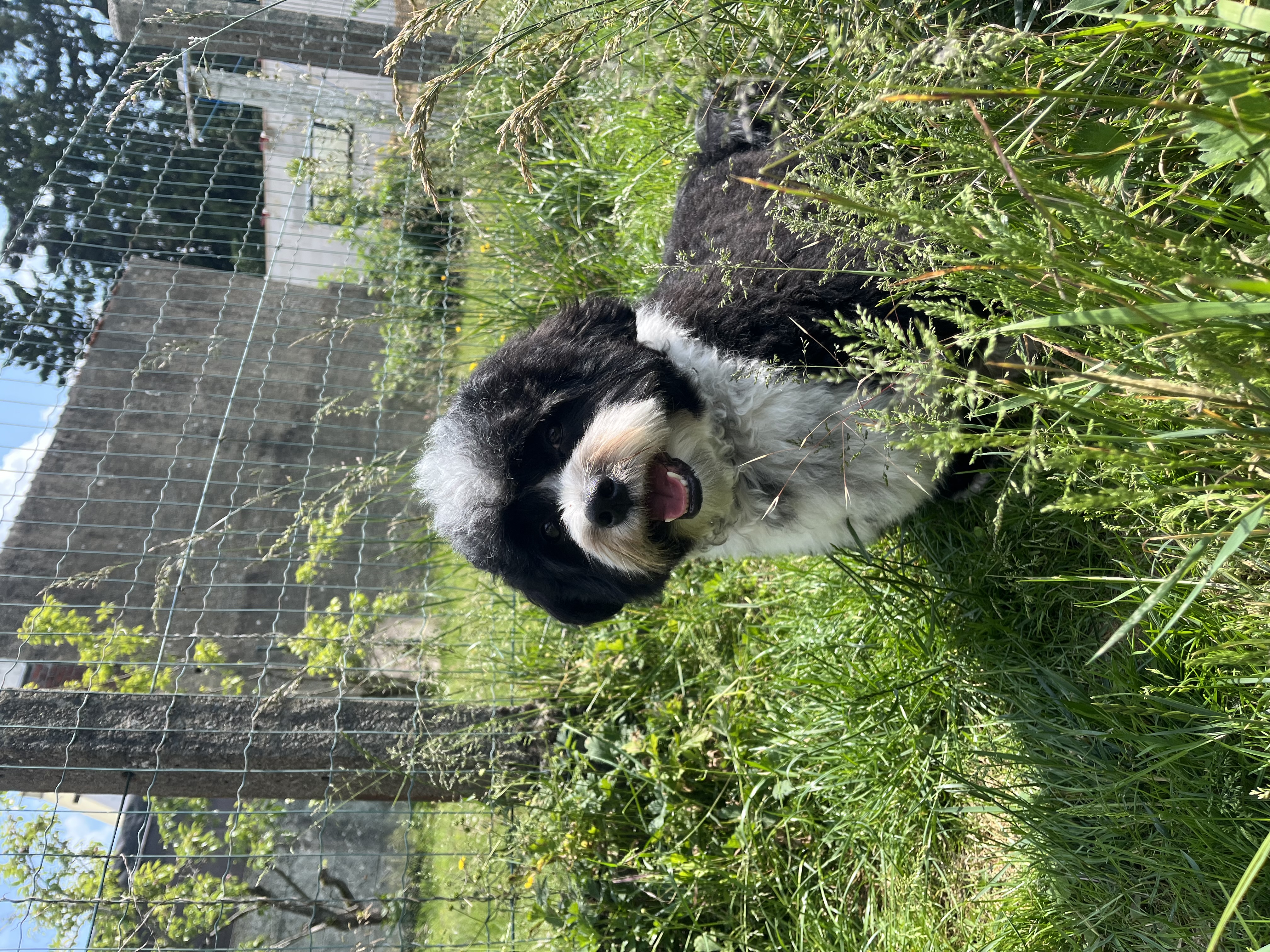 image-10