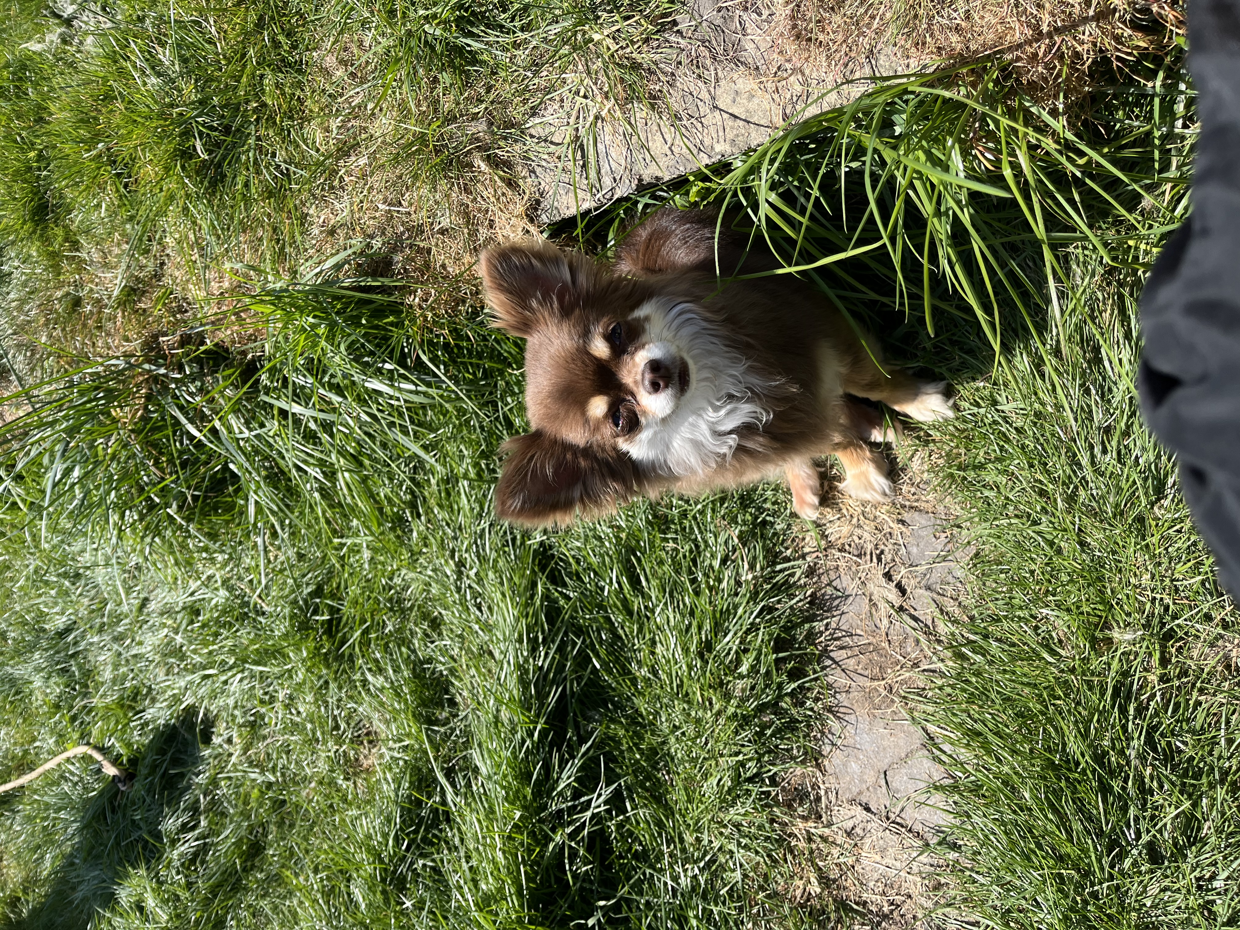 image-11