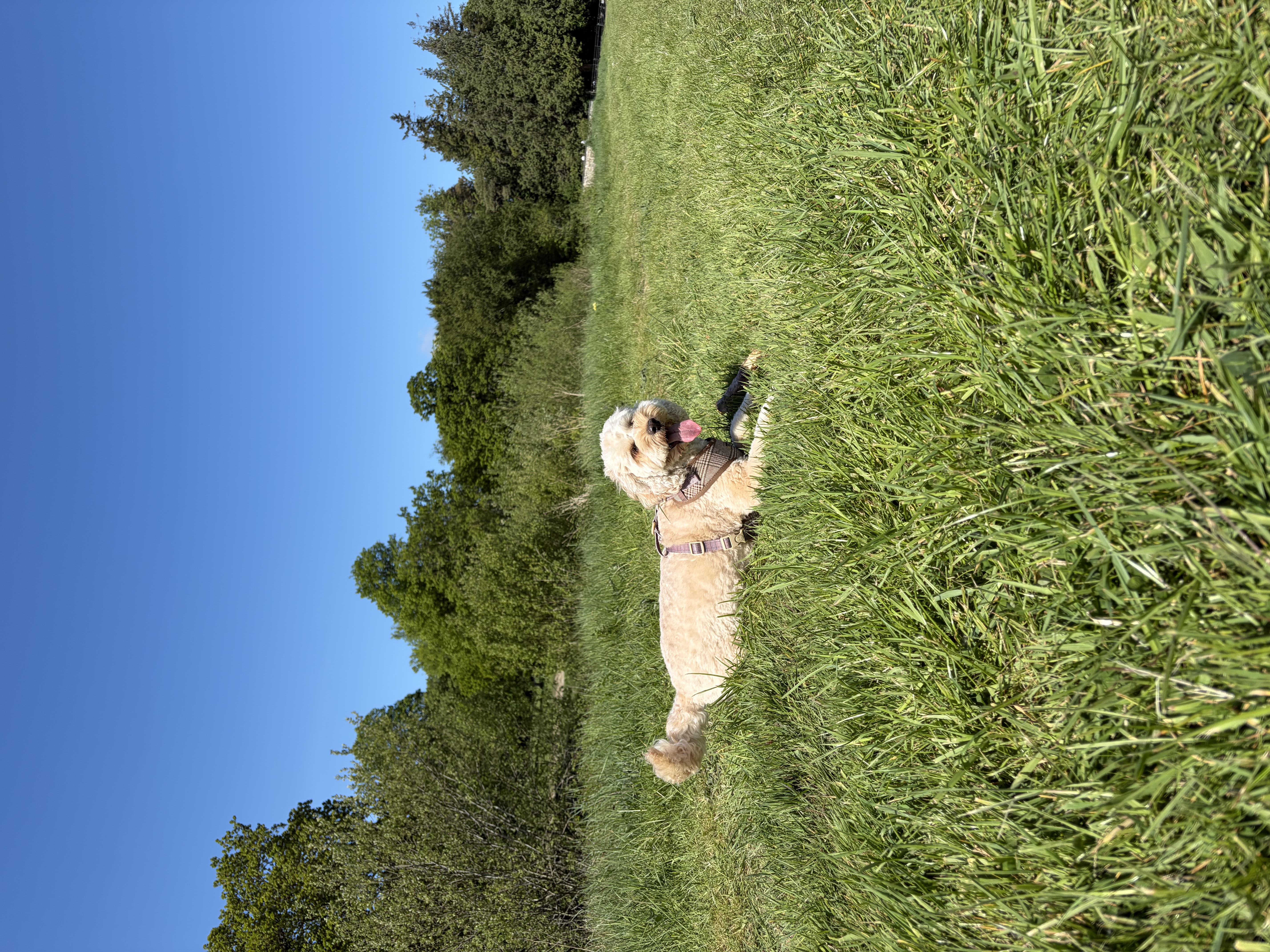 image-9