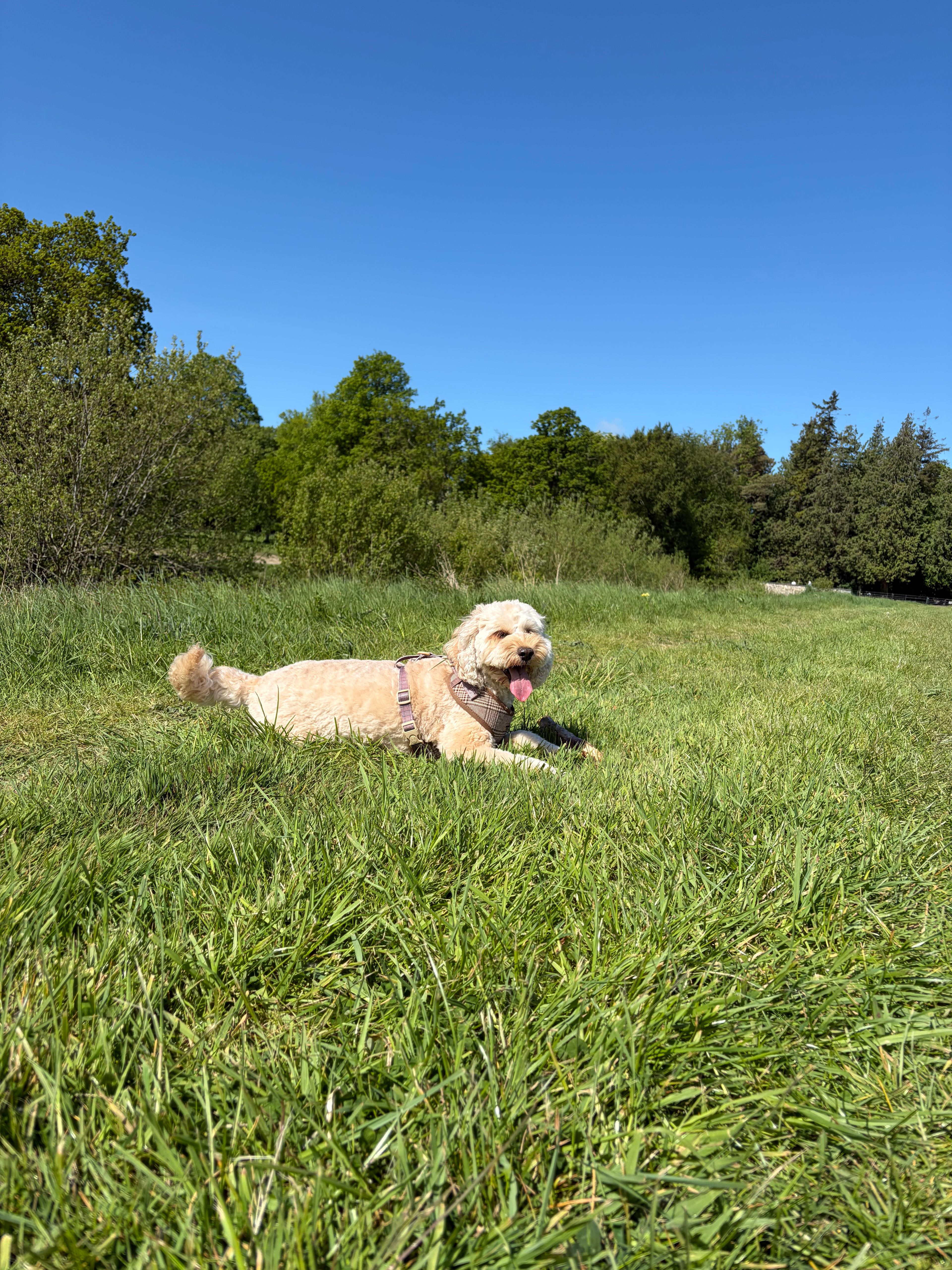 image-9