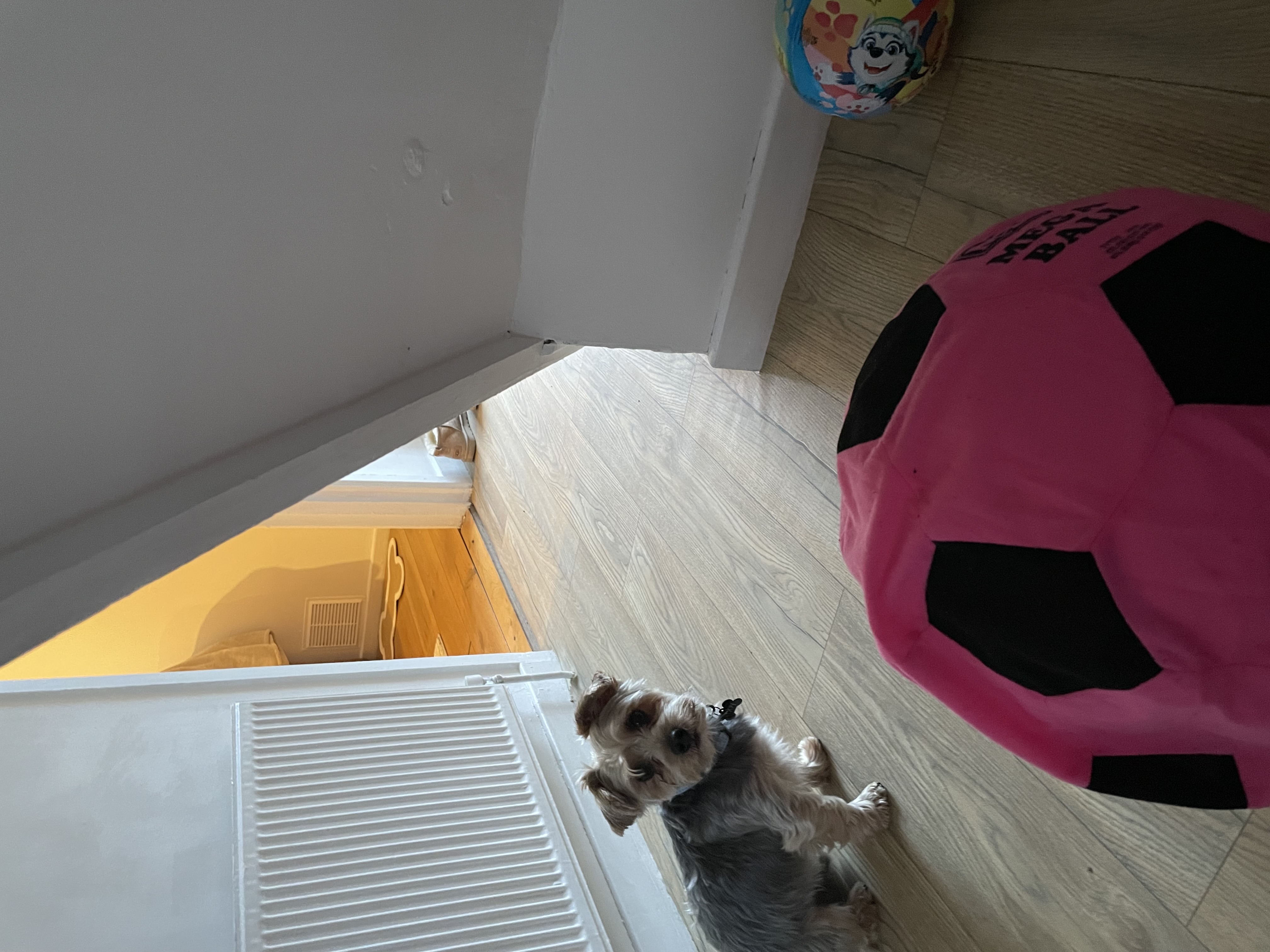 image-6