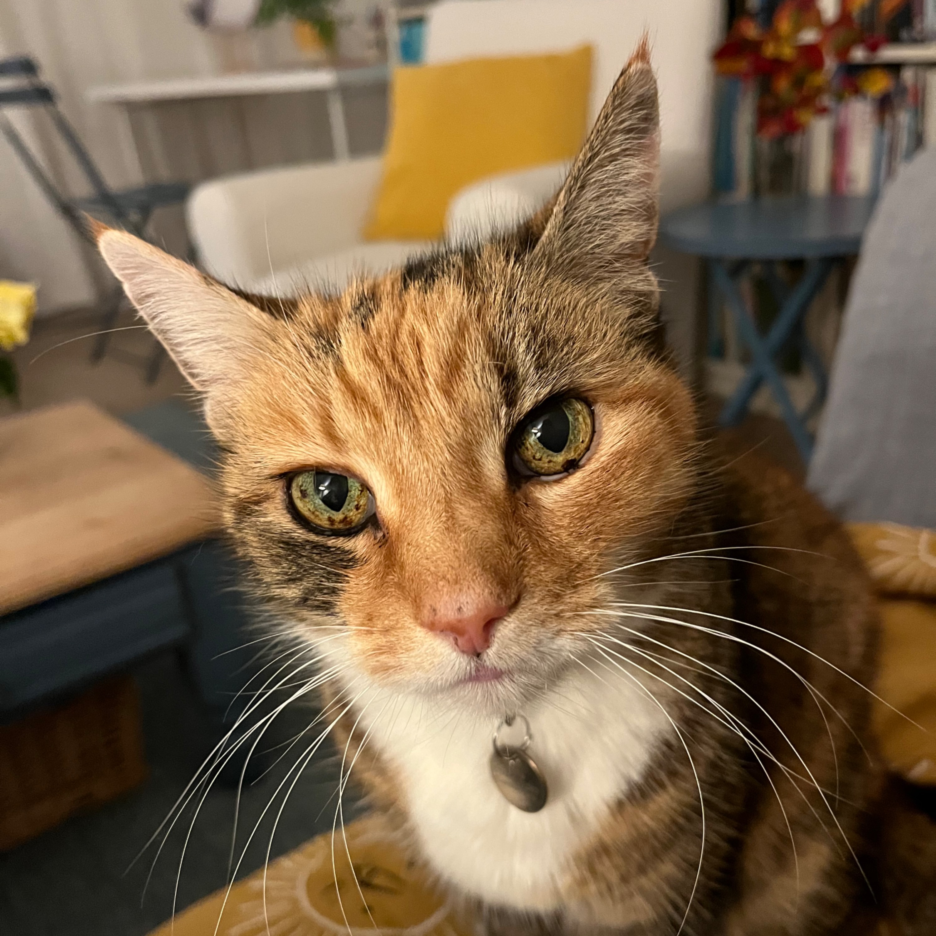 Clara