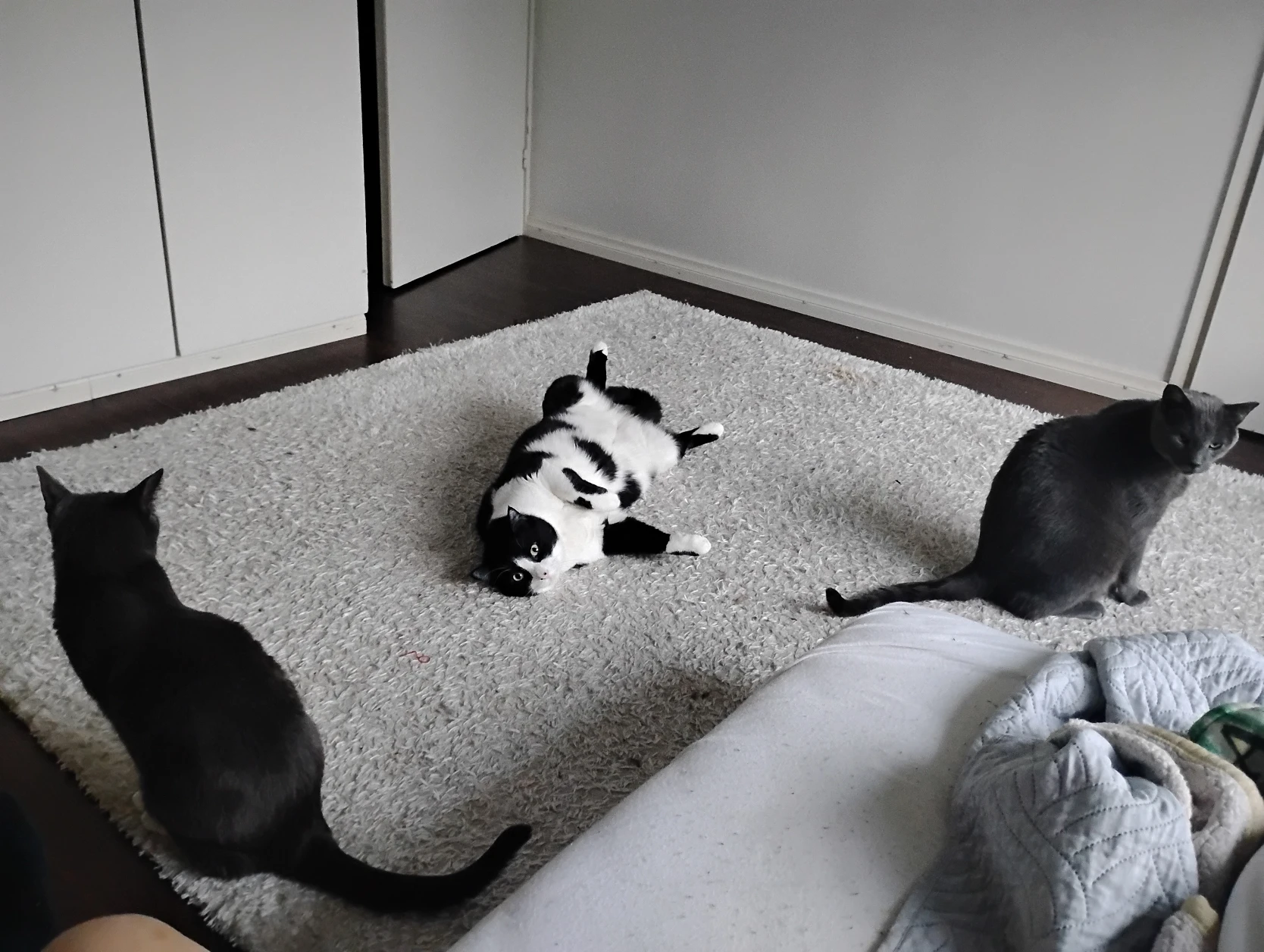 image-9