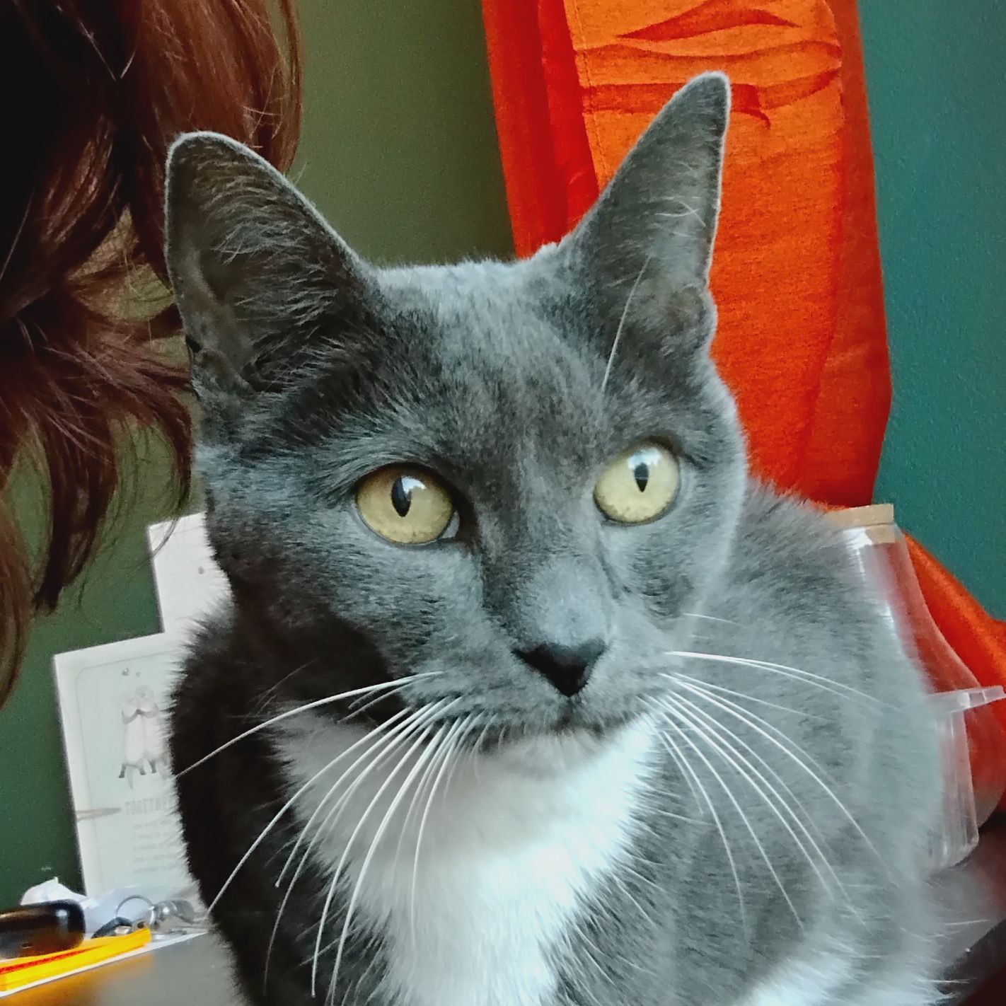 Opie