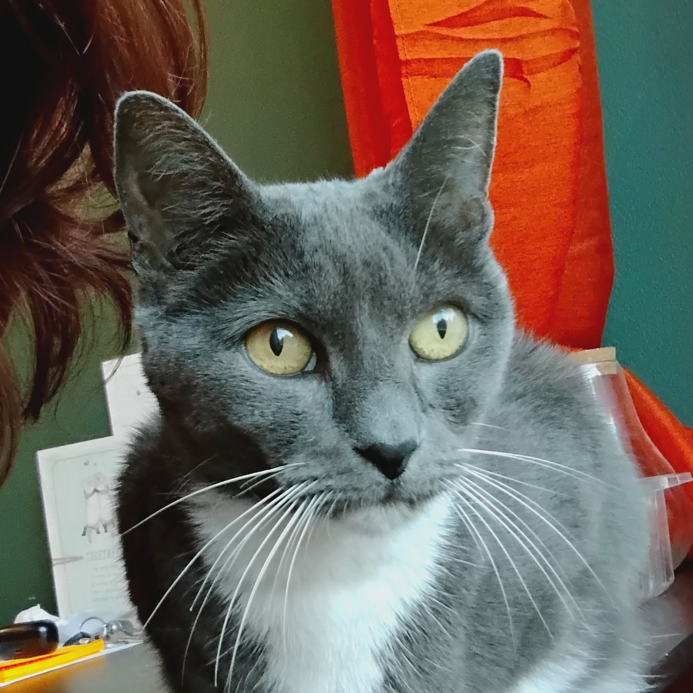 Opie