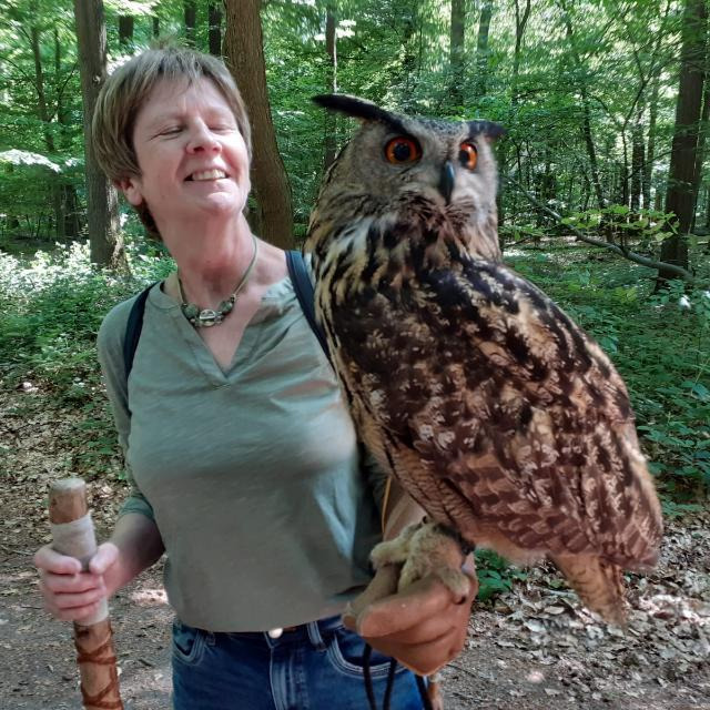 Hedwig