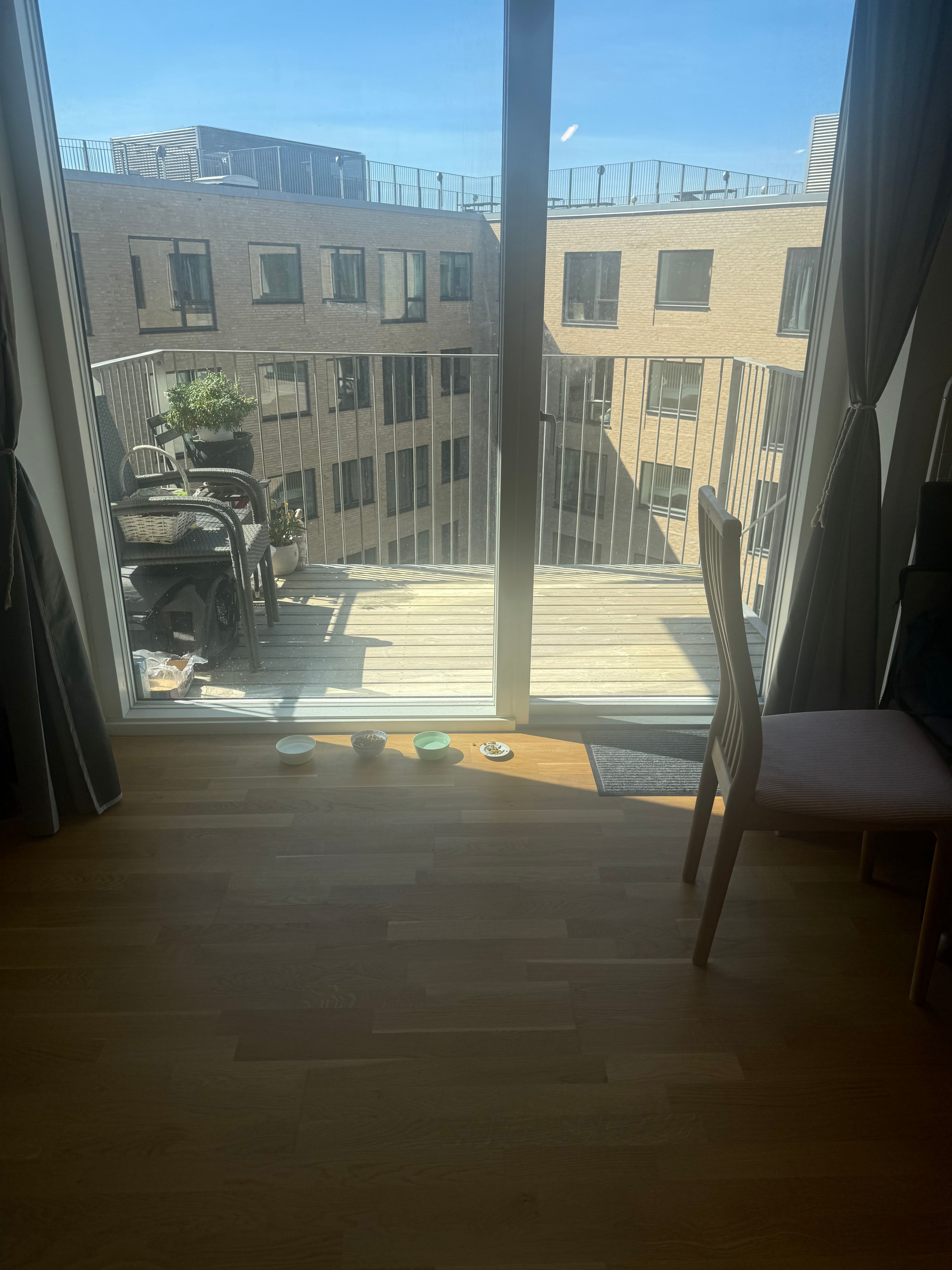 image-19