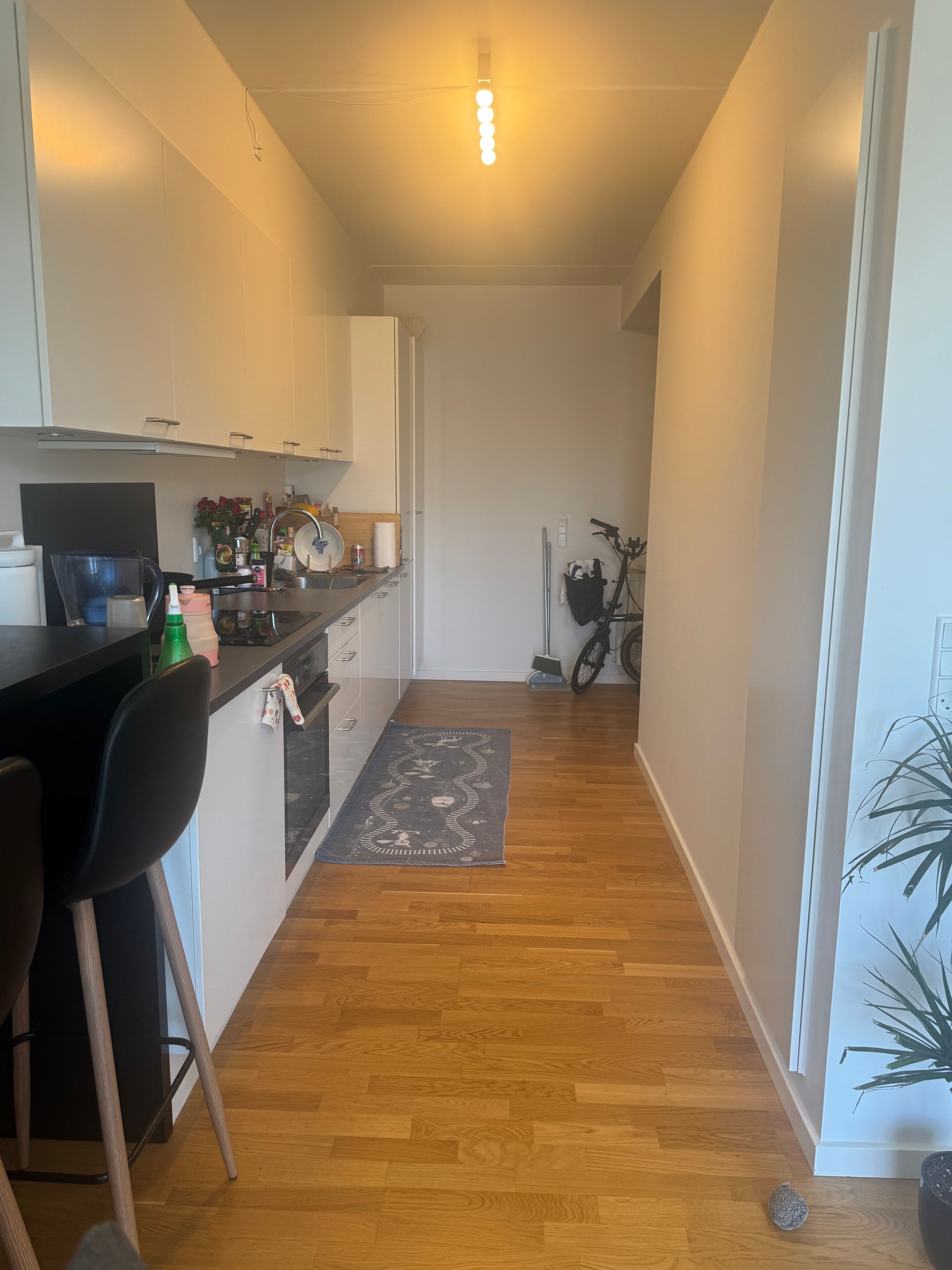 image-20