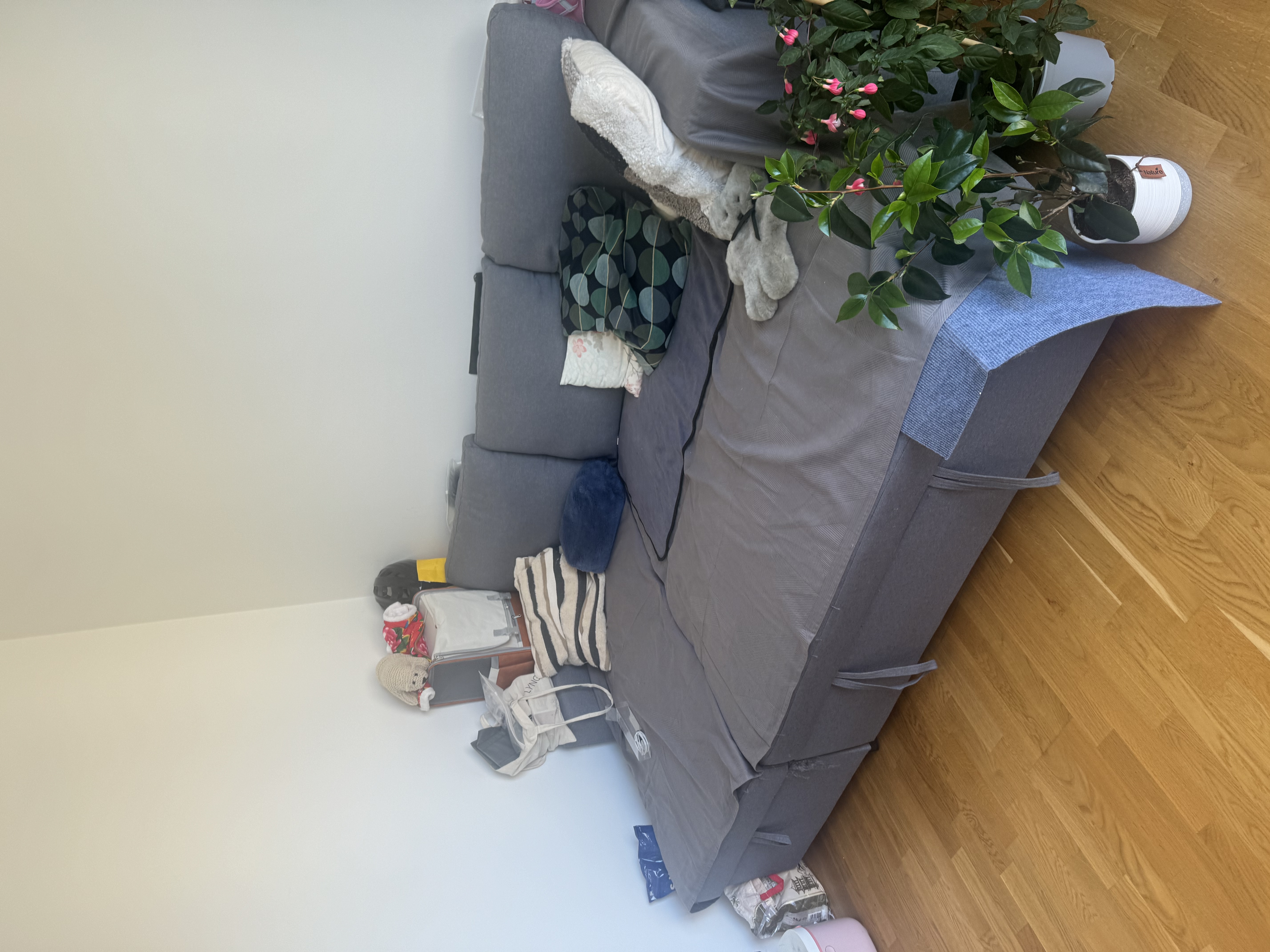 image-18