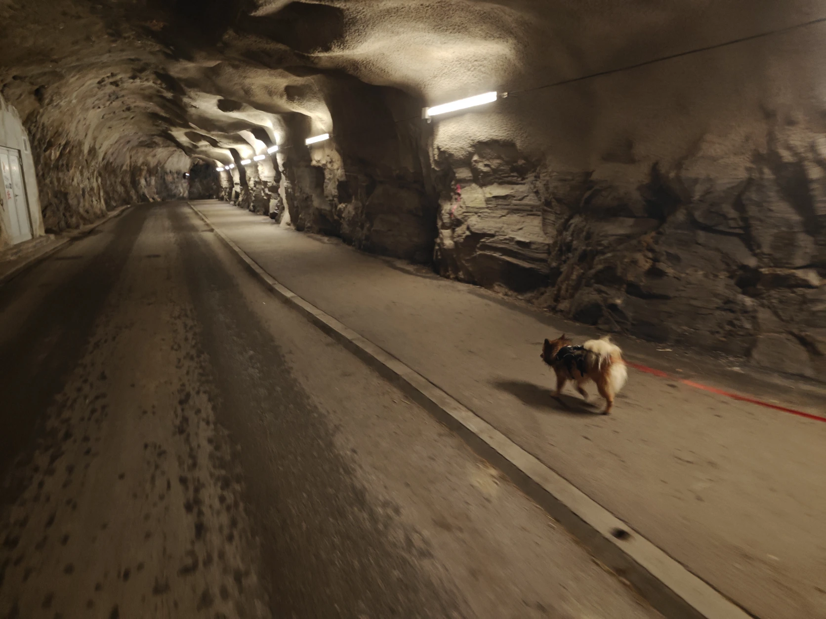 image-9
