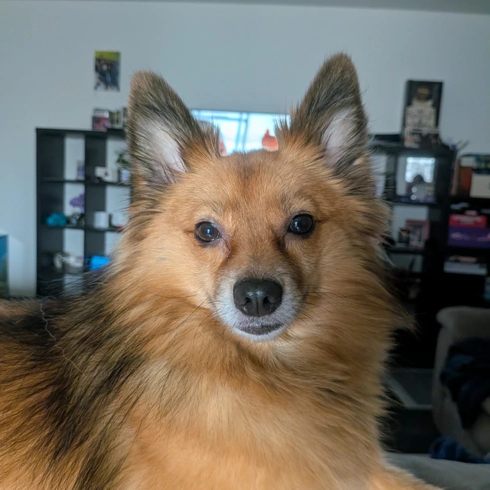 luna