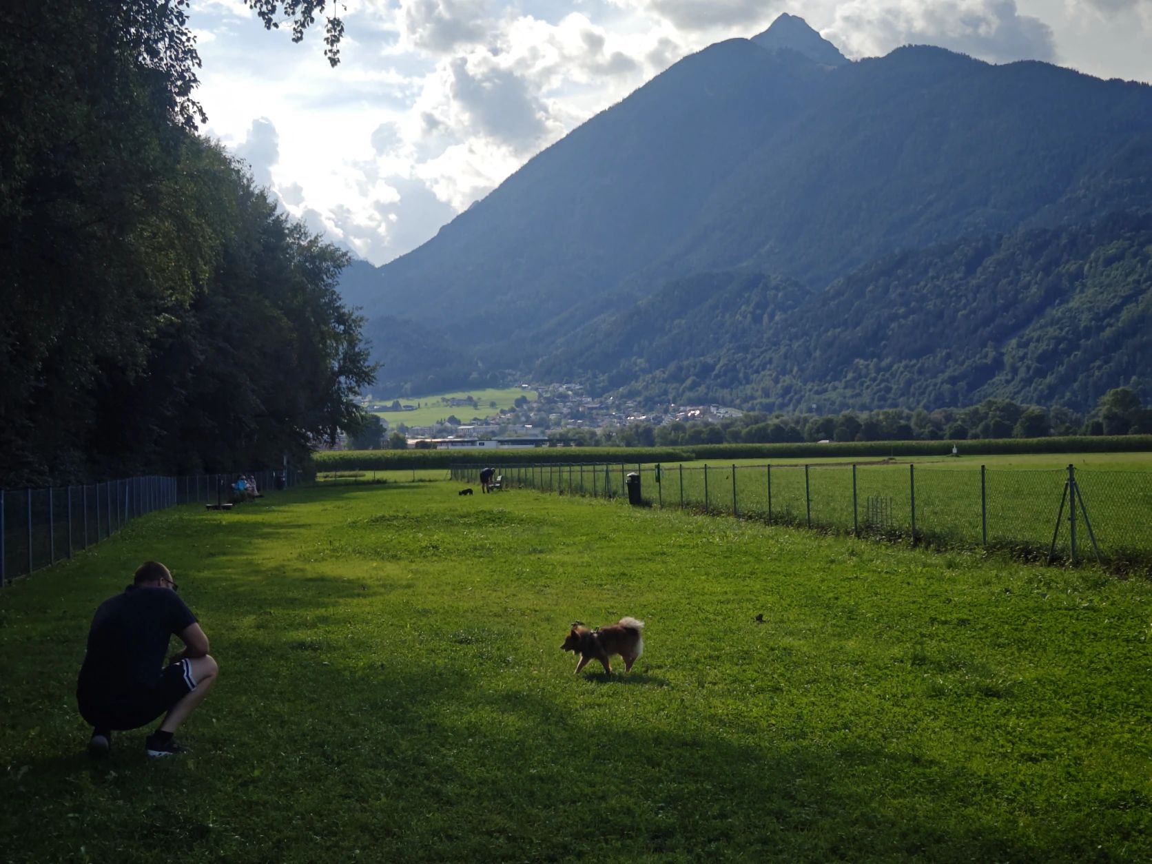 image-11
