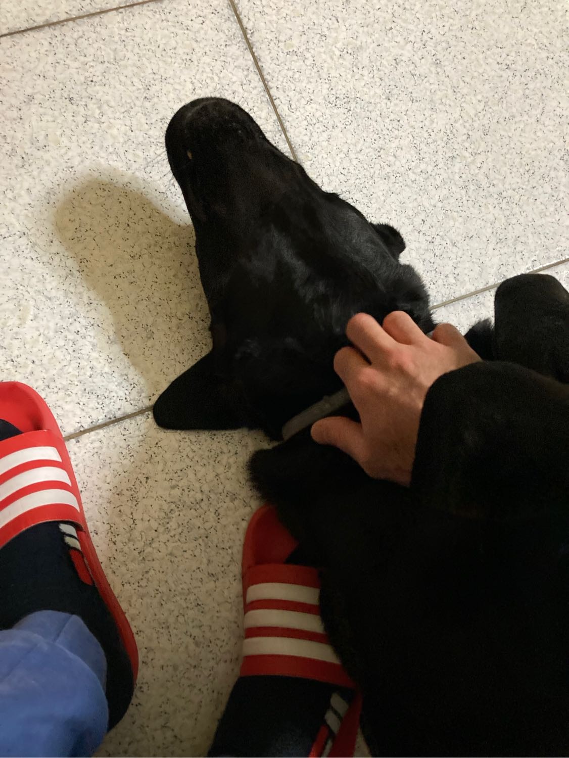 image-5