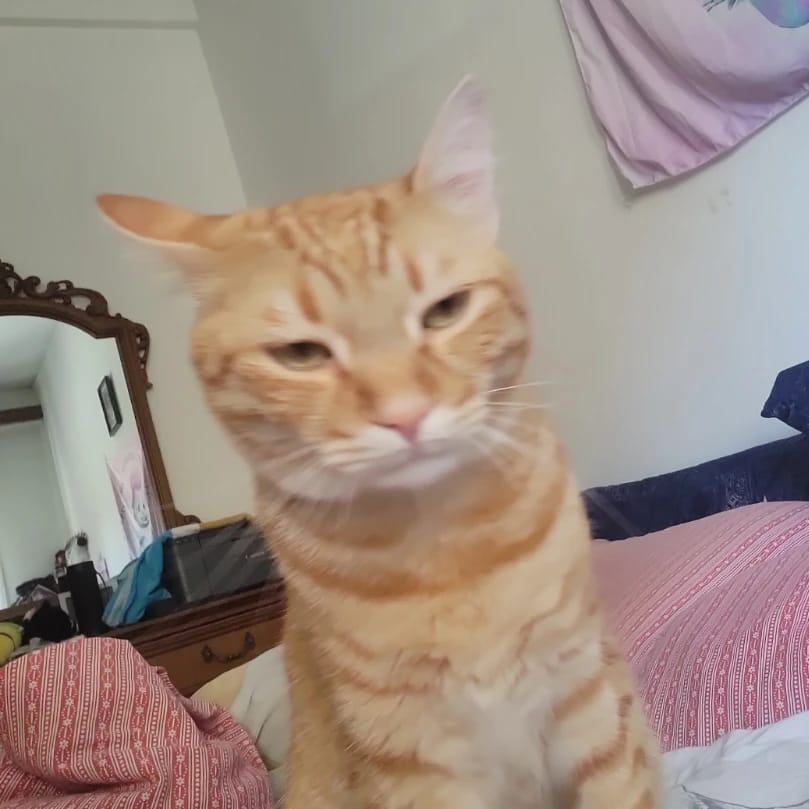 Fred