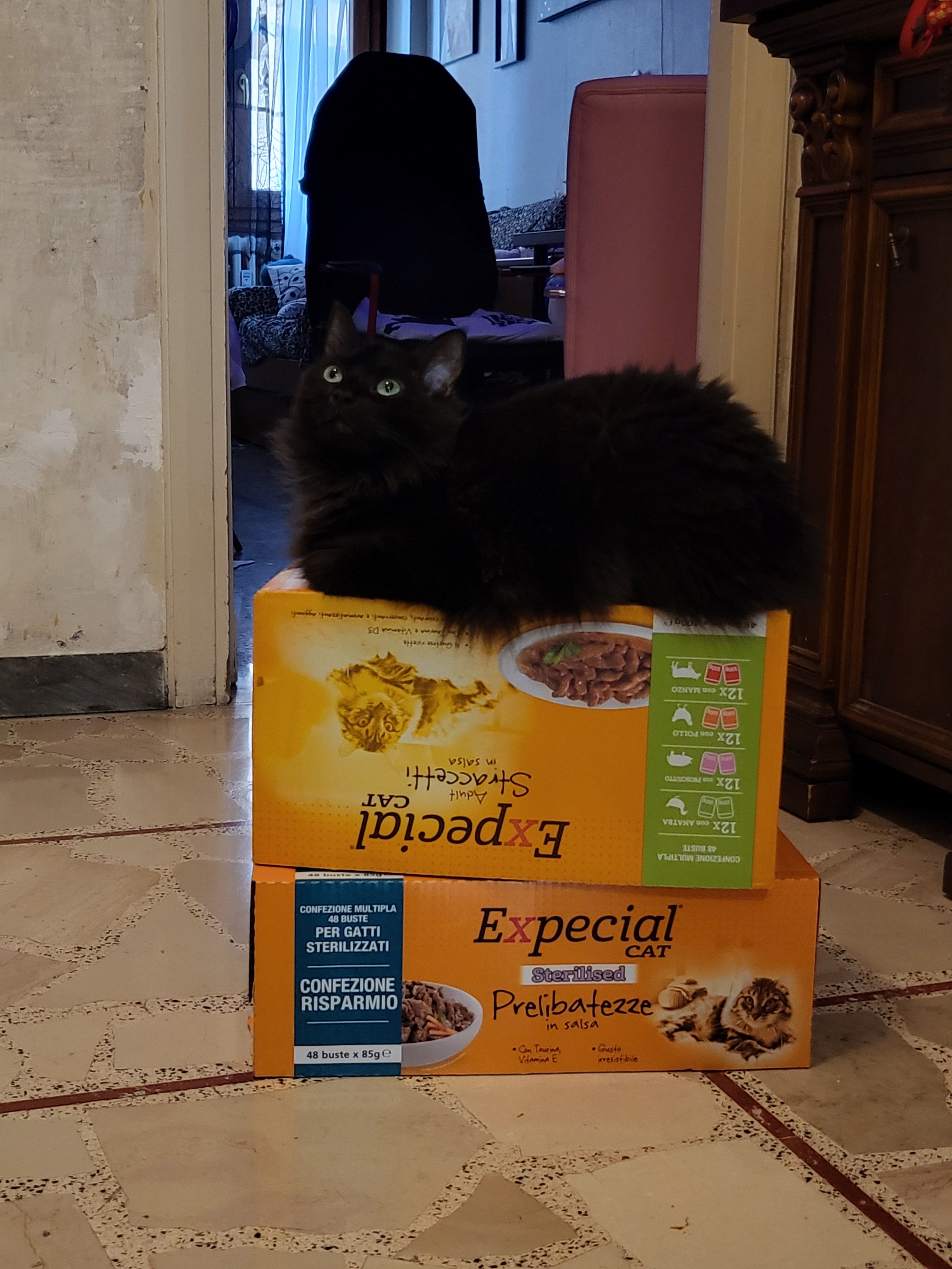 image-6