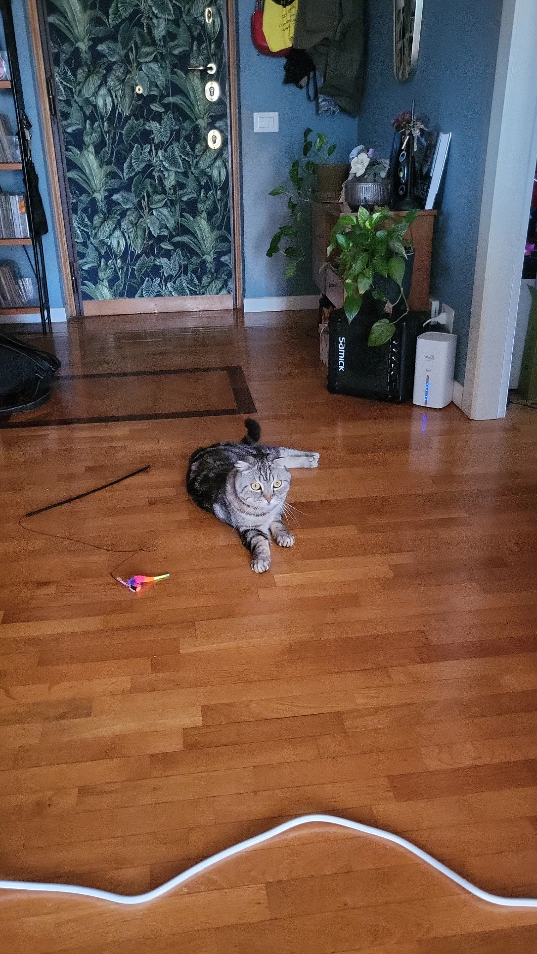 image-2
