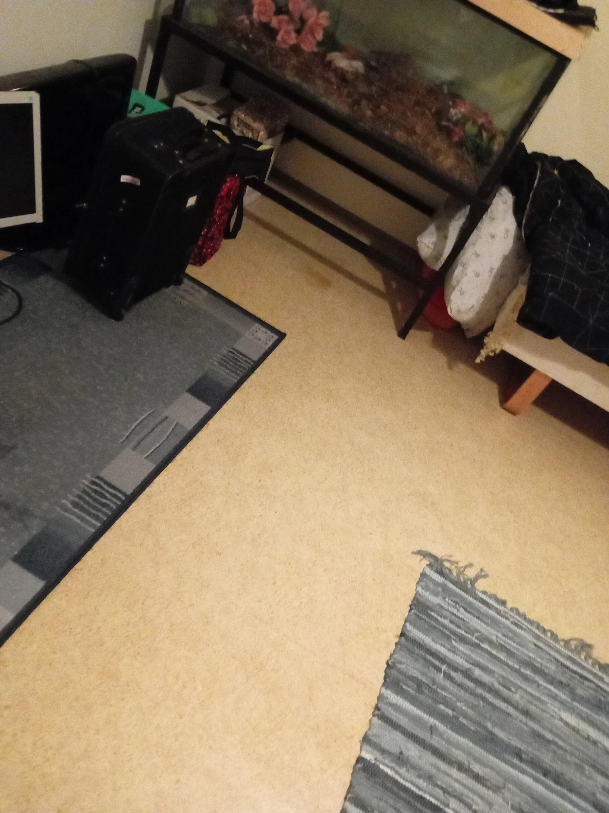image-7