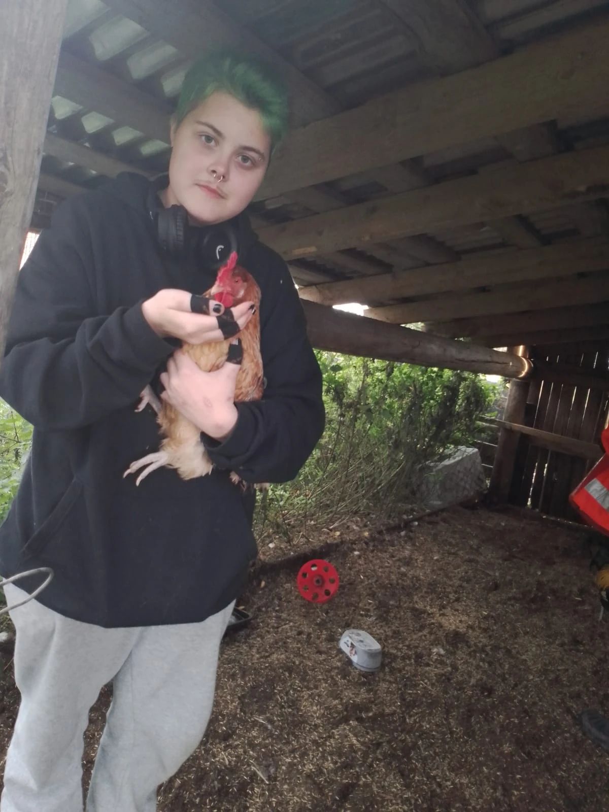 image-6