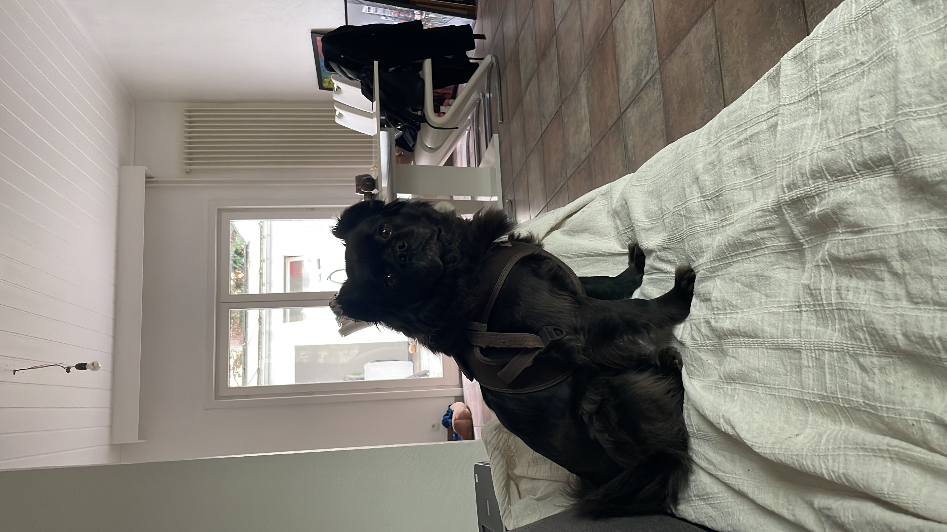 image-18