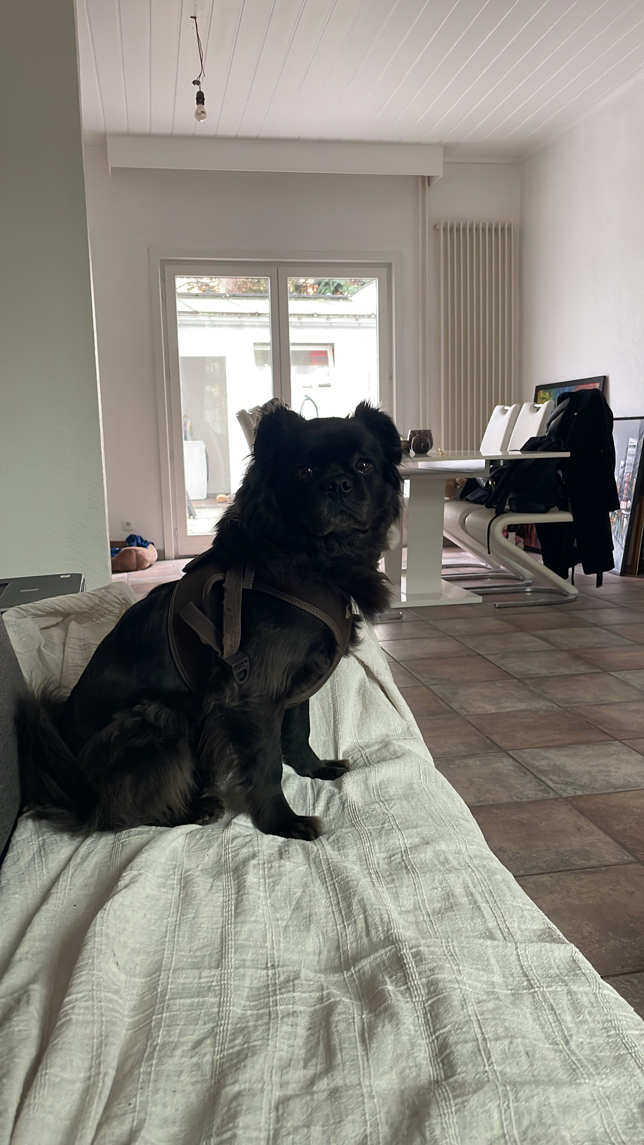 image-18