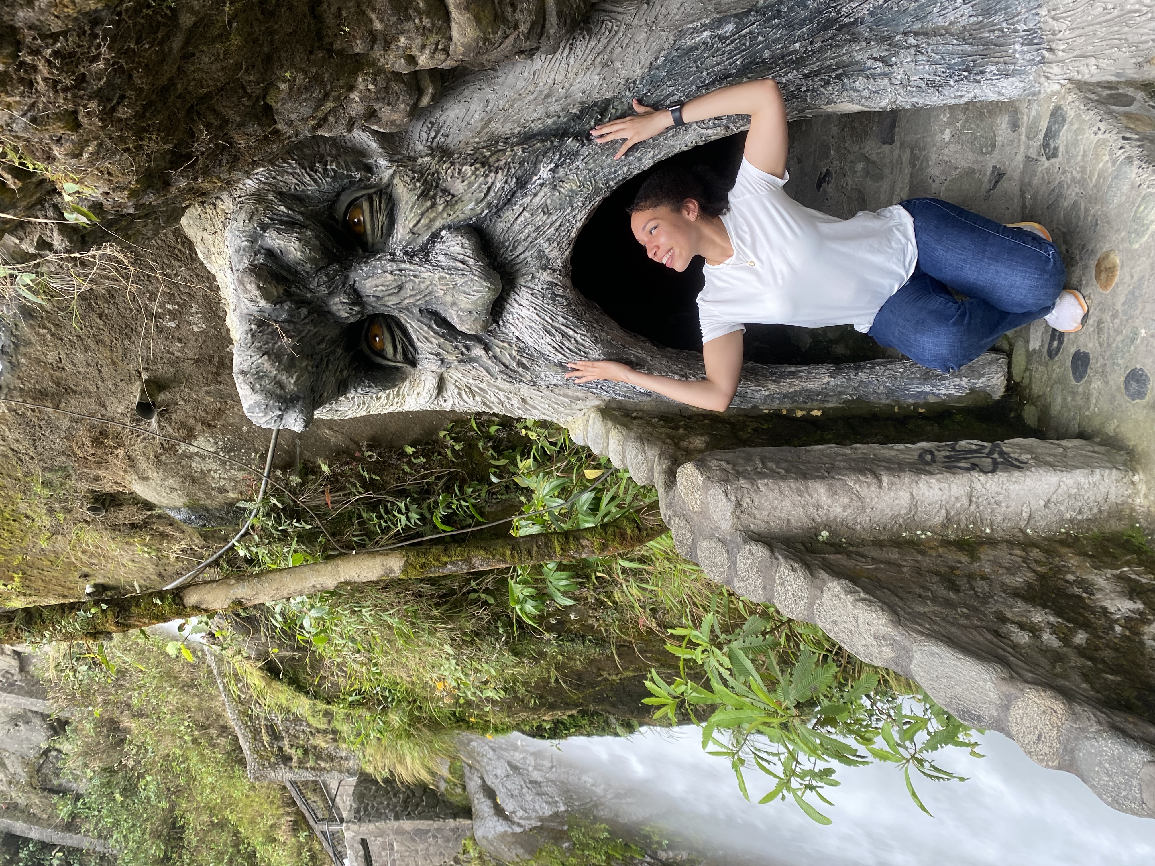 image-4