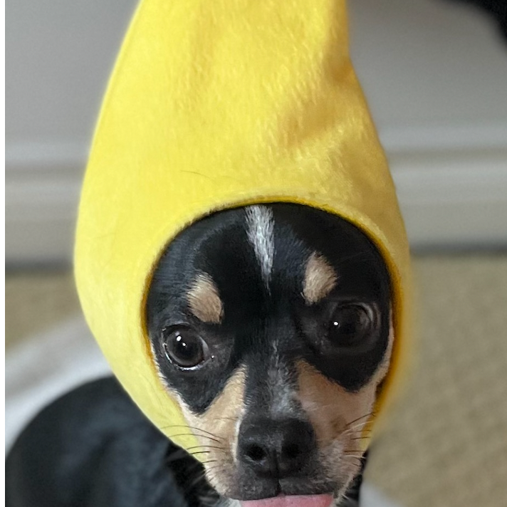 georgie