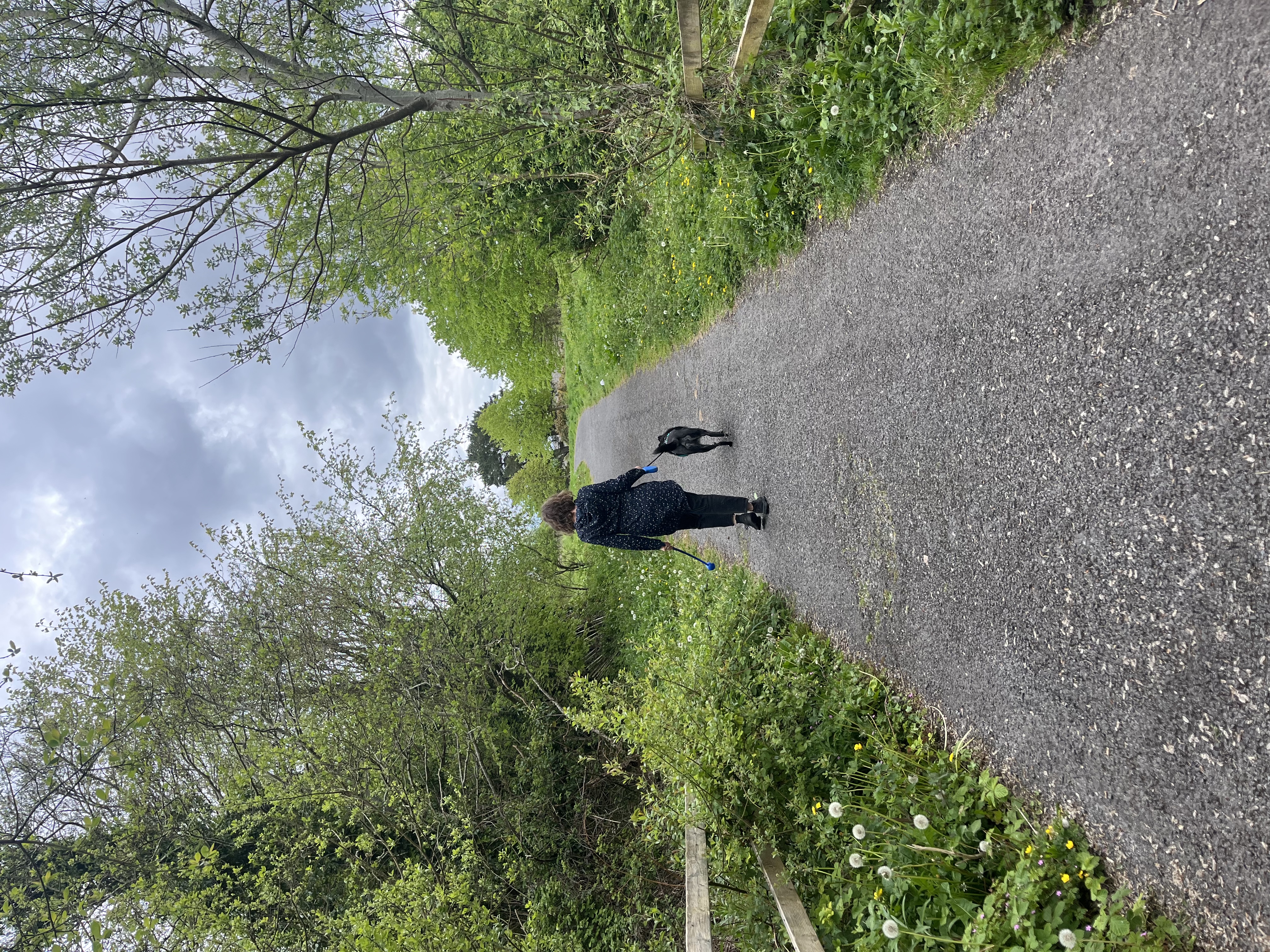 image-0