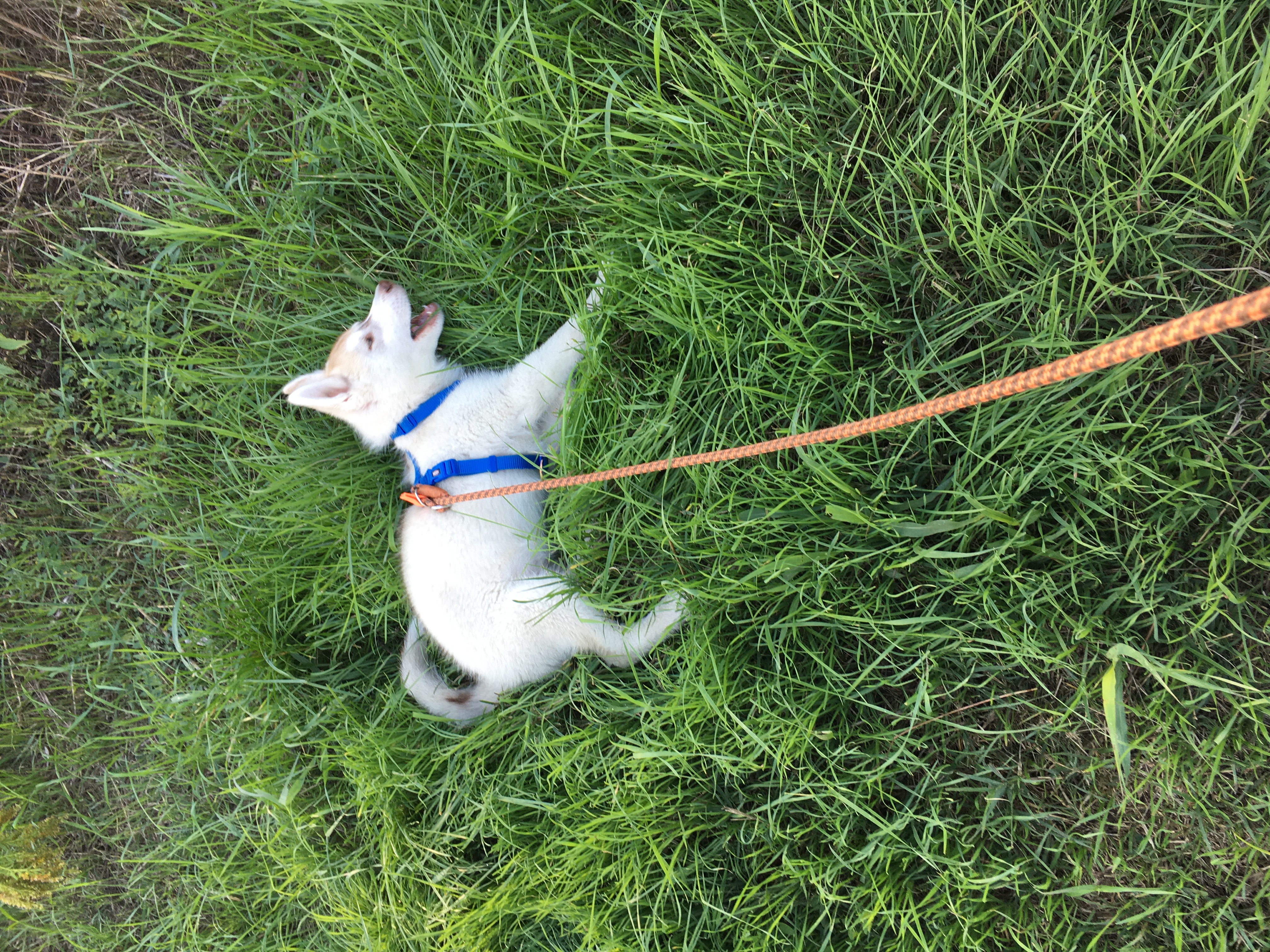 image-8