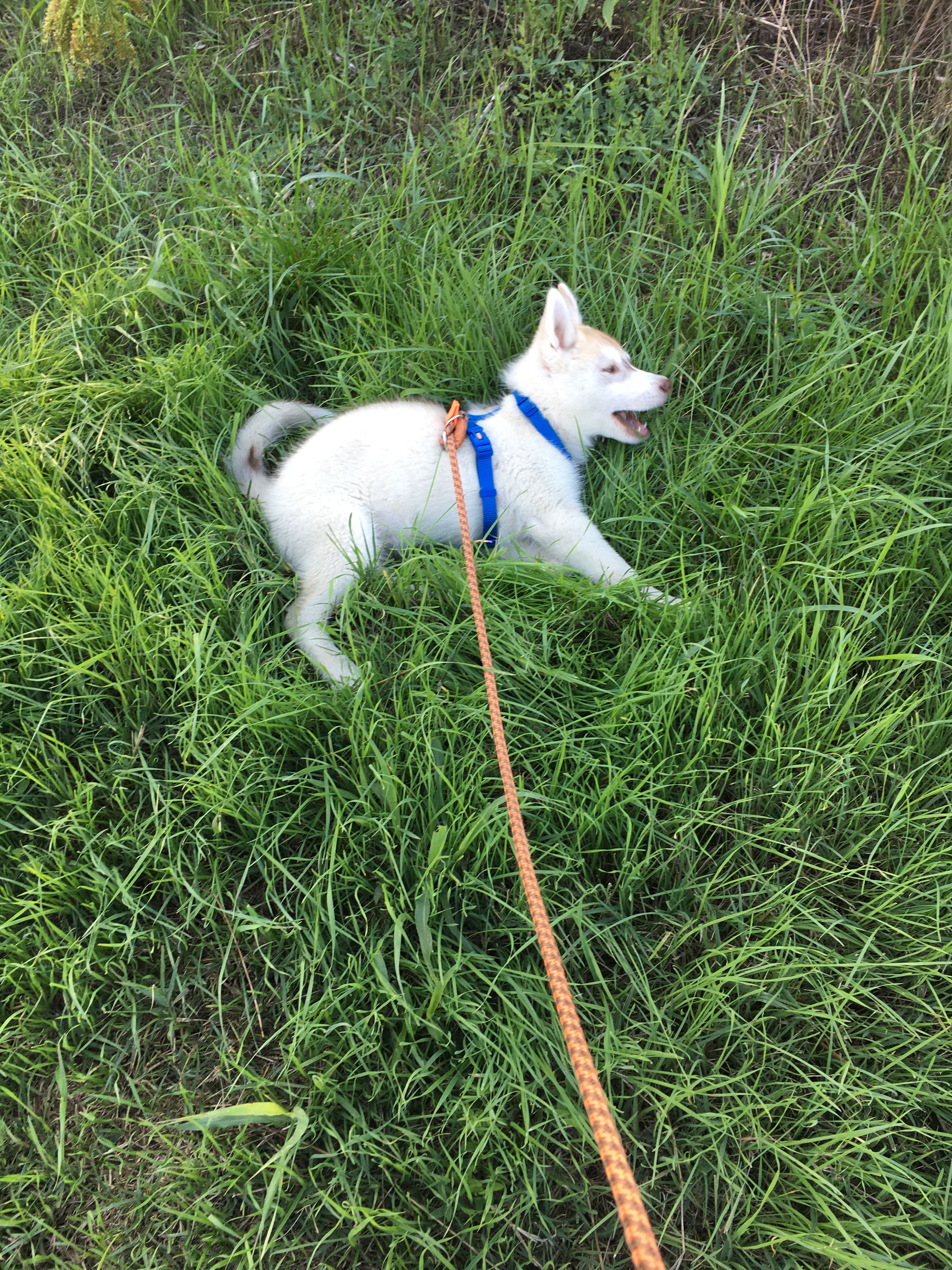 image-8