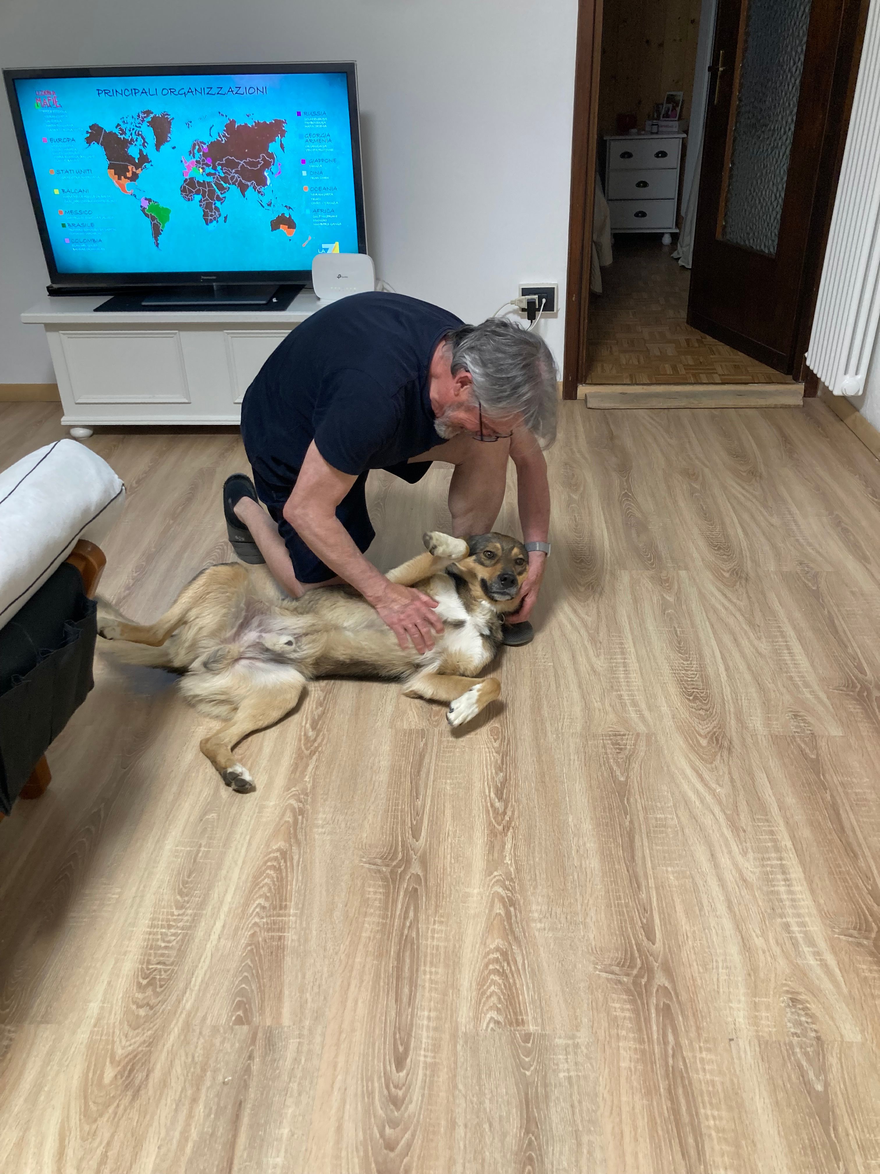 image-15