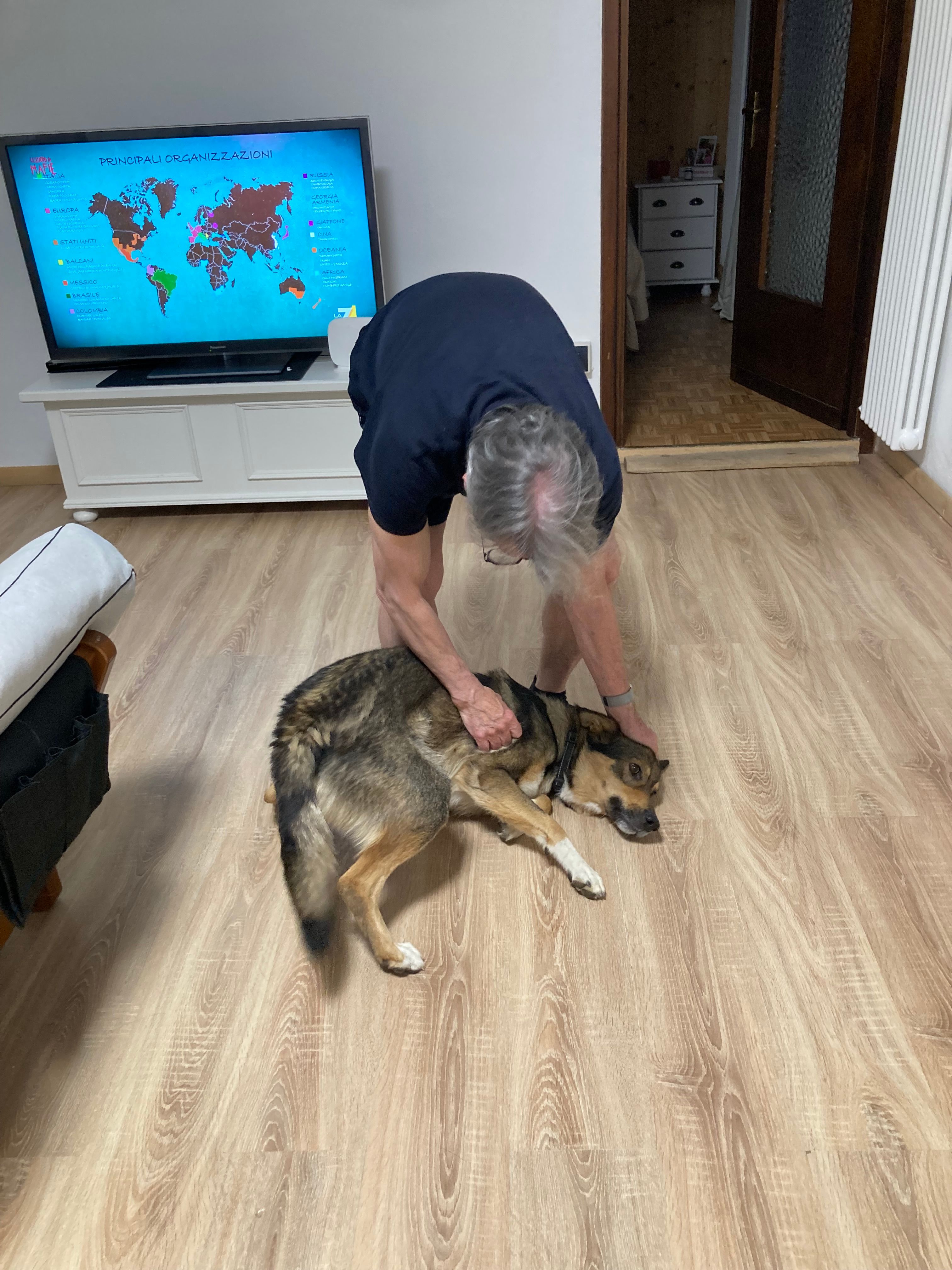 image-14