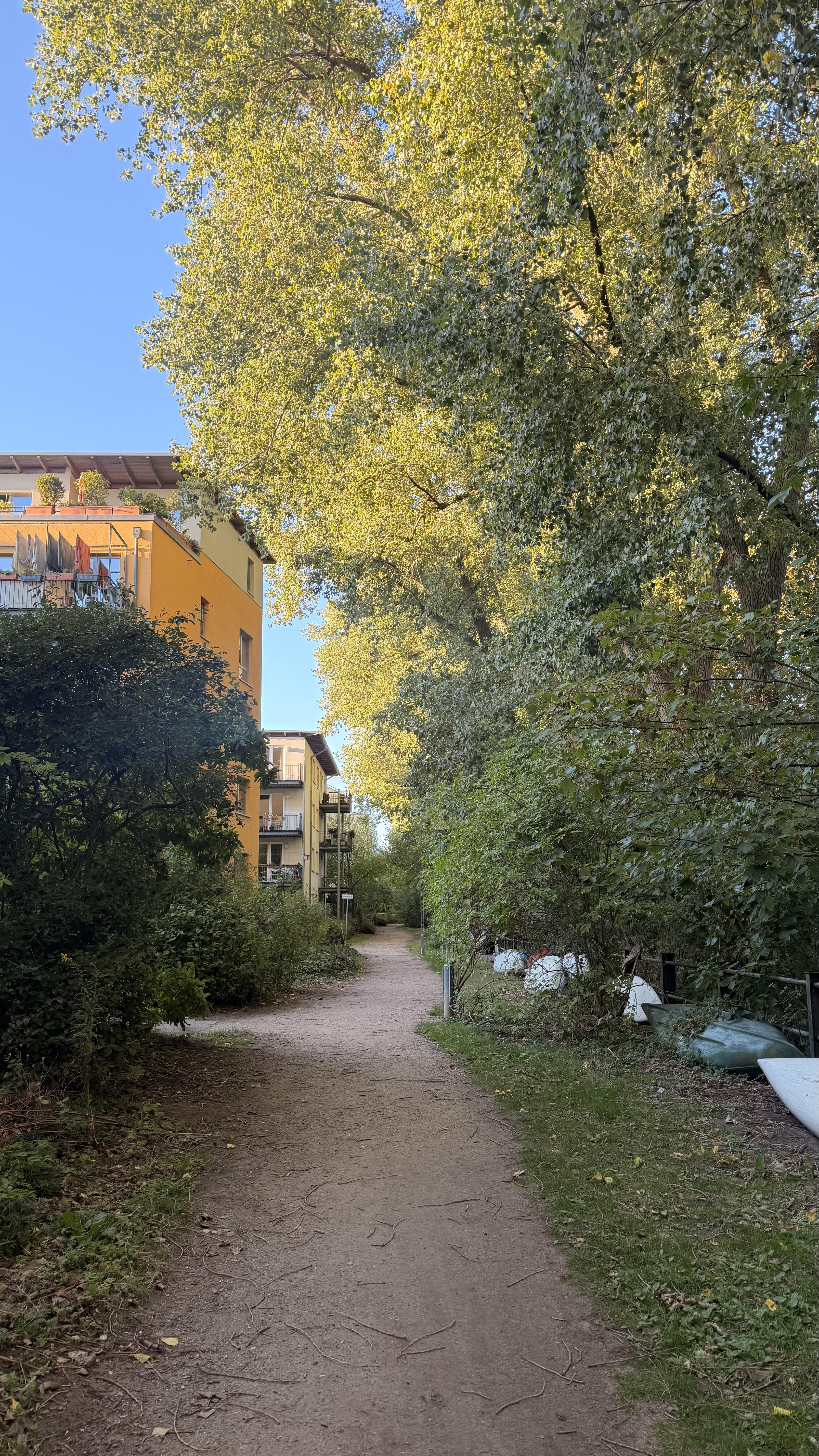 image-14