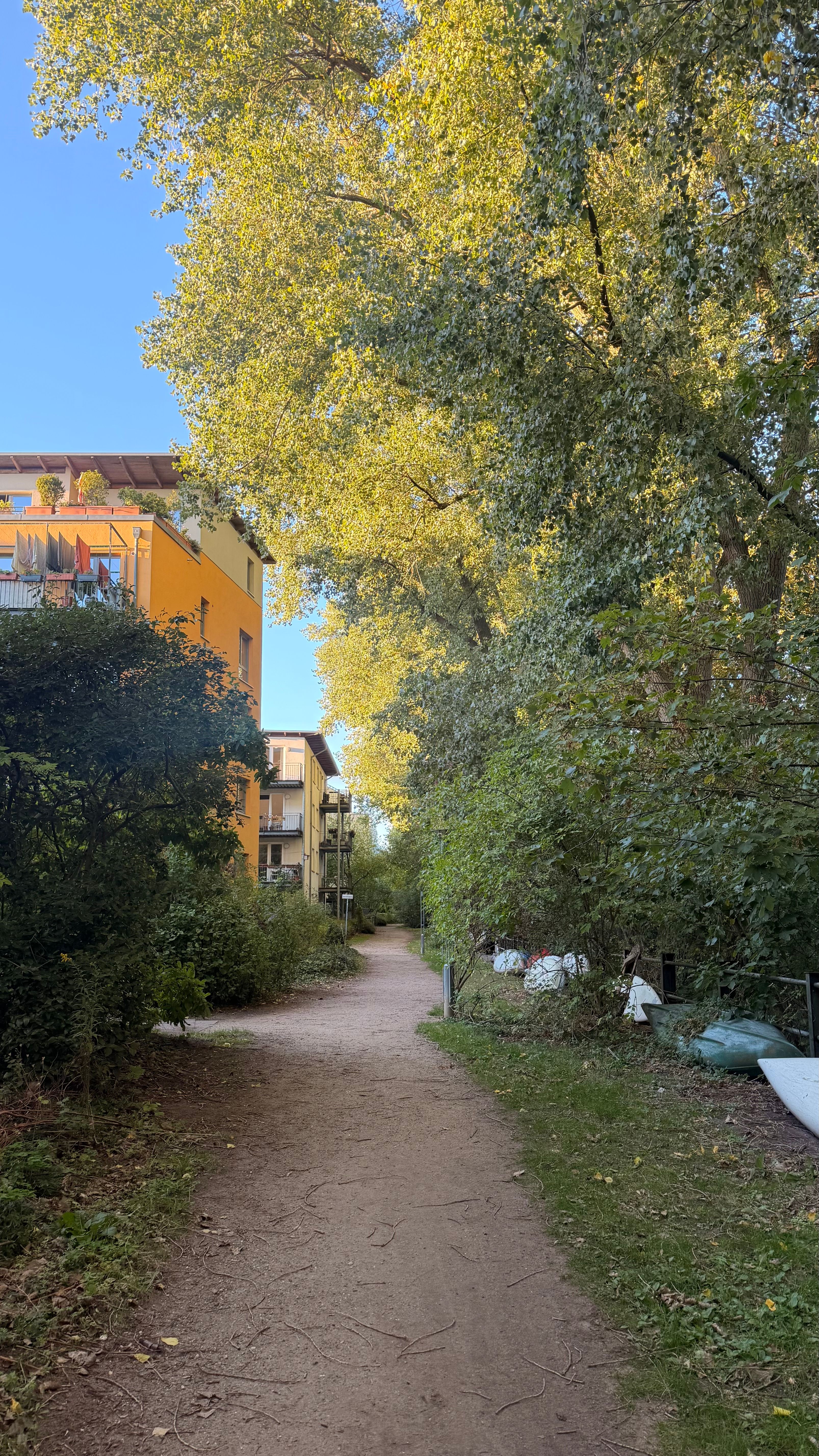 image-14