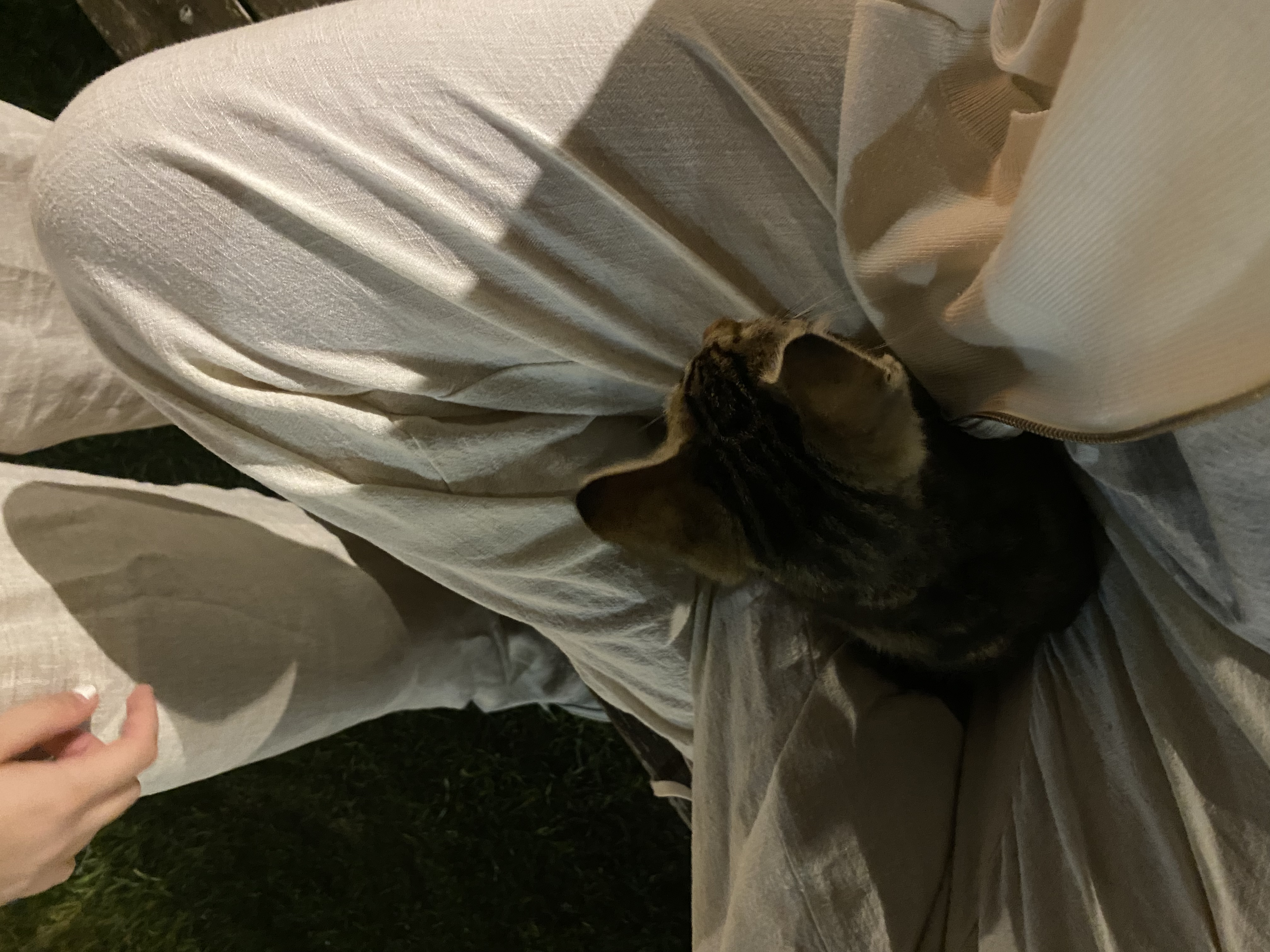 image-10