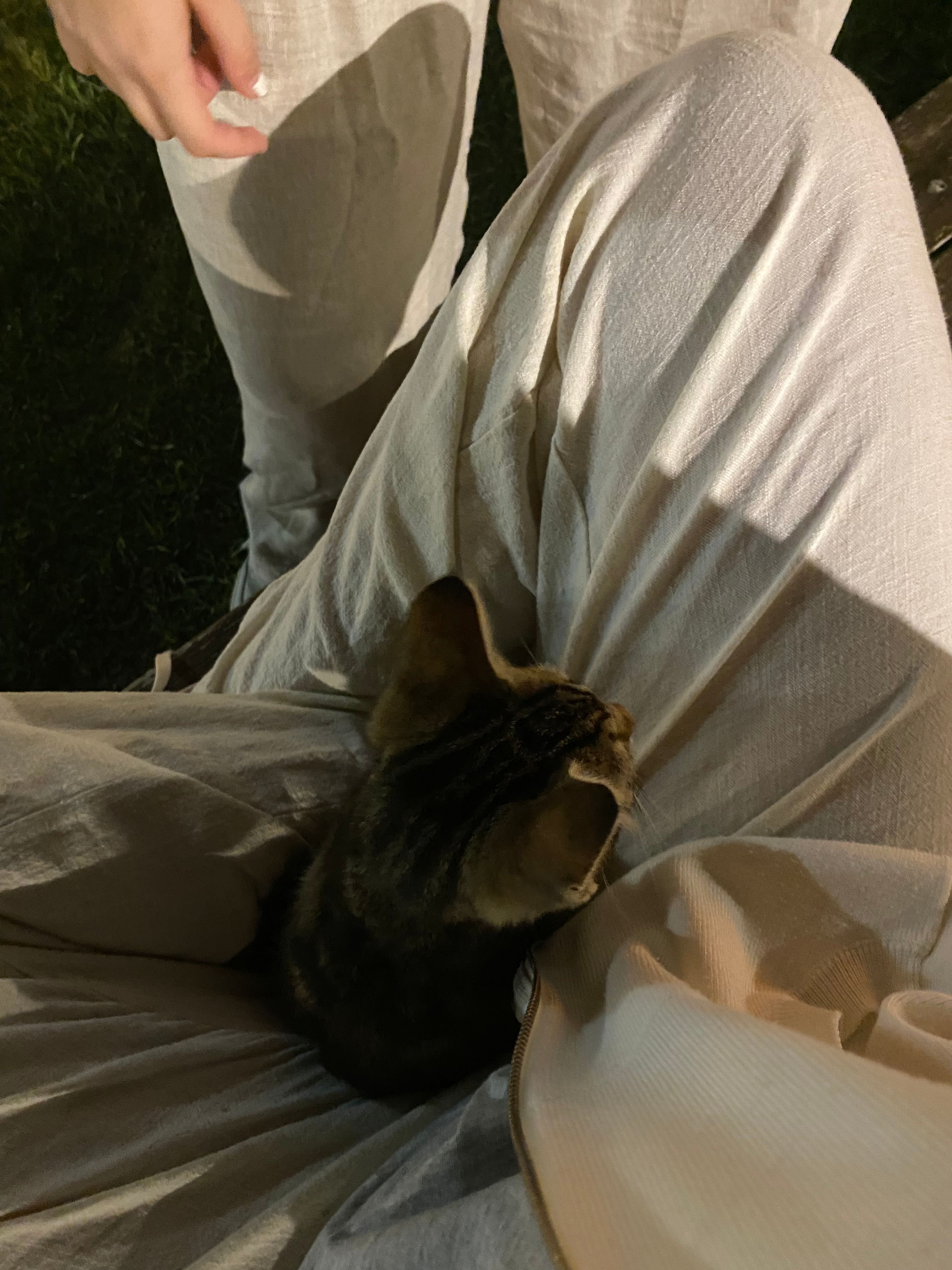 image-10
