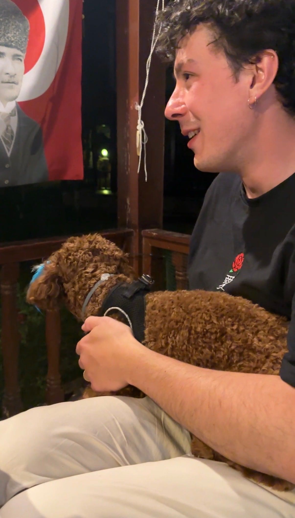 image-7