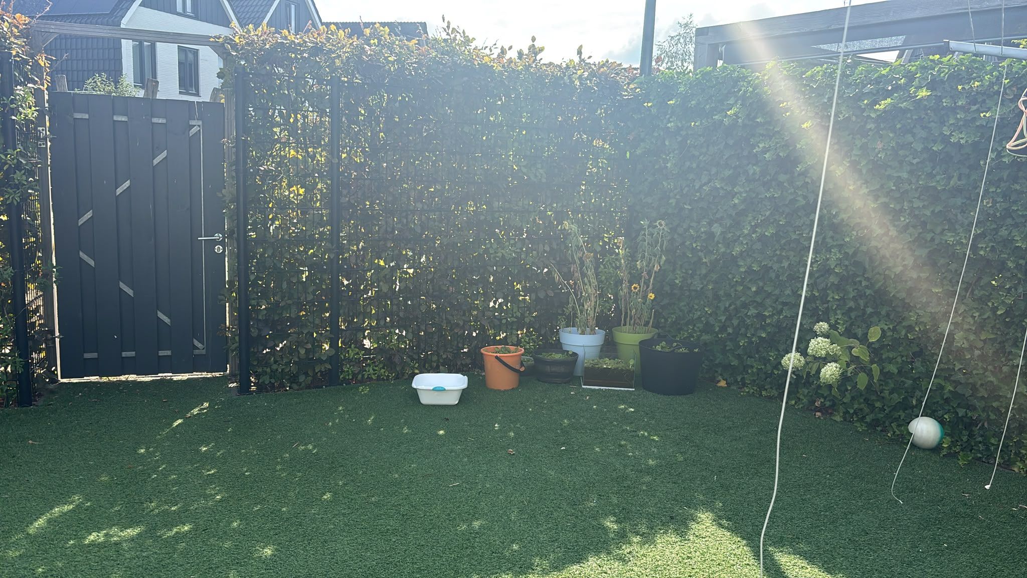 image-7
